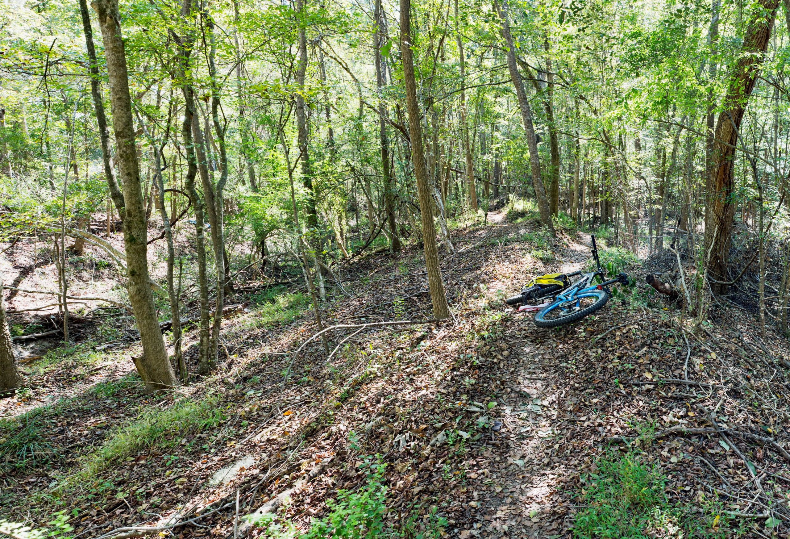 A serene forest scene featuring a dirt path winding through lush greenery. Two mountain bikes are positioned on the ground amidst fallen leaves and twigs, surrounded by trees and underbrush in a sunlit environment. Wannamaker Park mountain bike trail.