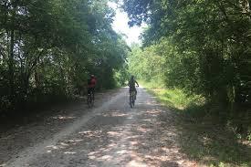 Two cyclists riding on a gravel path surrounded by lush greenery and trees on either side. The scene captures a bright, sunny day. Rock island spur mountain bike trail.
