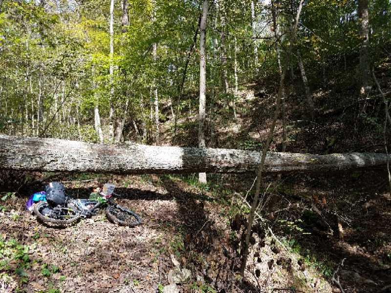 A fallen tree trunk lies across a path in a forested area, with dappled sunlight filtering through the green leaves. In the foreground, a bicycle is partially visible alongside some scattered belongings, suggesting an outdoor adventure. Ohio View Trail mountain bike trail.