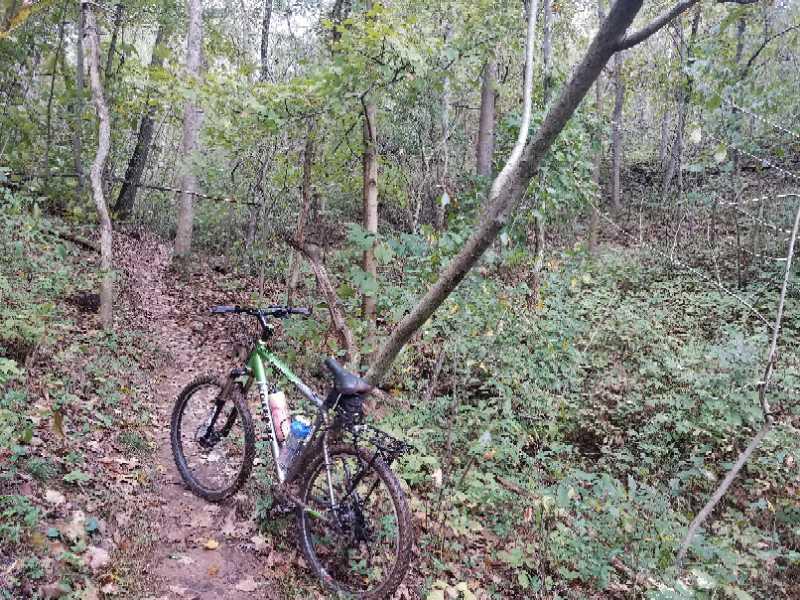 A mountain bike parked on a dirt trail surrounded by lush greenery and trees in a forested area. Cisler Trail mountain bike trail.