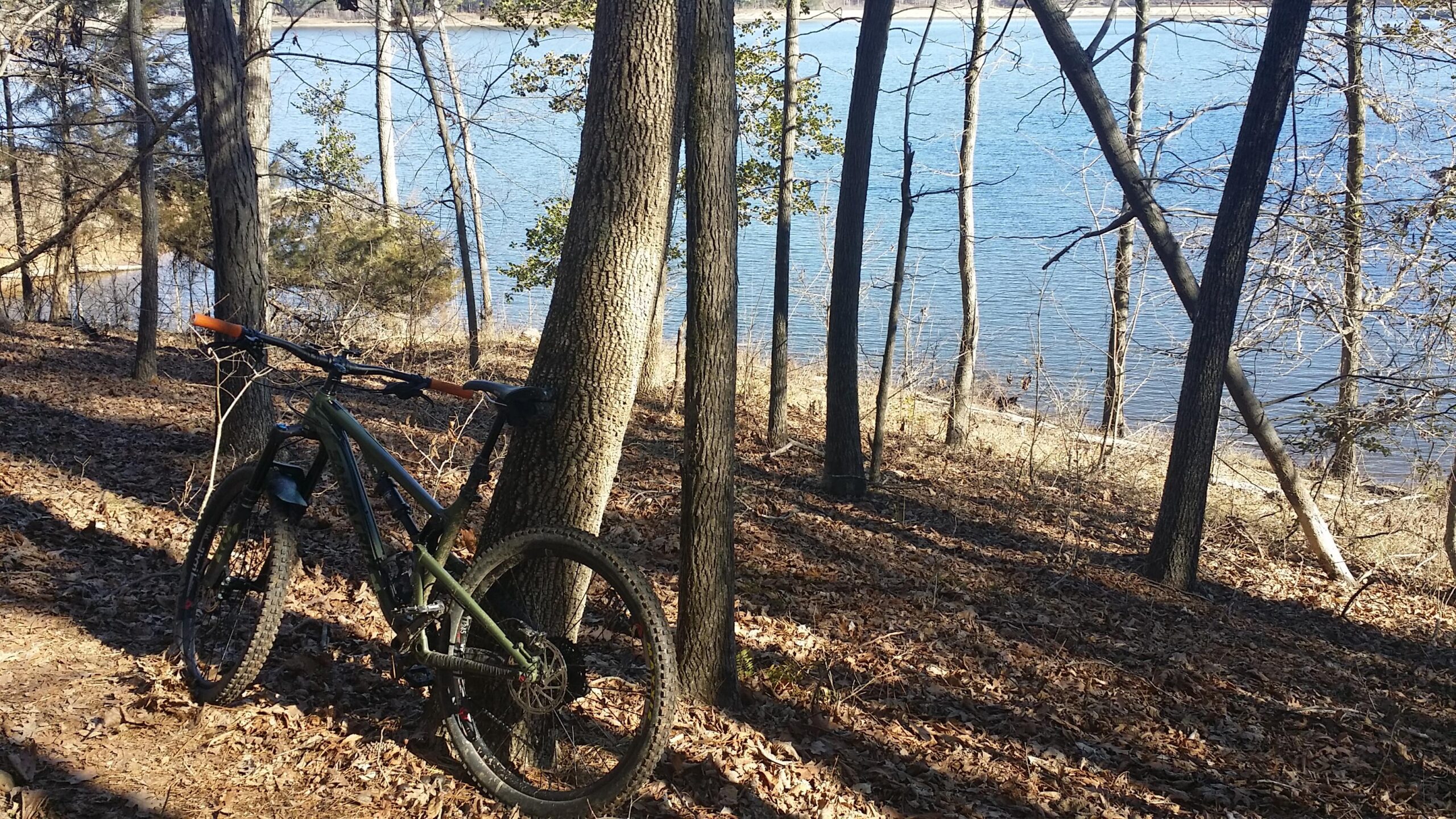 Santa Cruz Bronson: A mountain bike leaning against a tree in a wooded area, with a clear blue lake visible in the background. The ground is covered in fallen leaves, and the scene is illuminated by natural sunlight filtering through the trees.