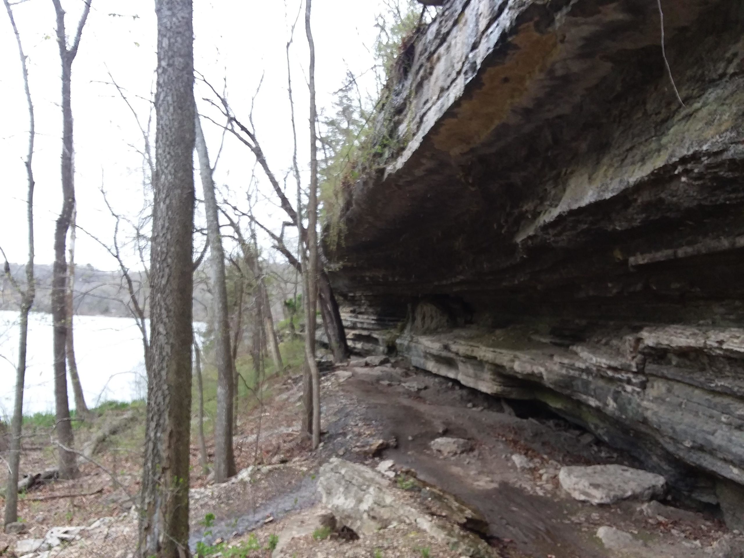 A rocky cliff edge surrounded by tall trees, with a view of a calm body of water in the background. The ground is covered in leaves and rocks, creating a natural, serene landscape. Back 40 mountain bike trail.