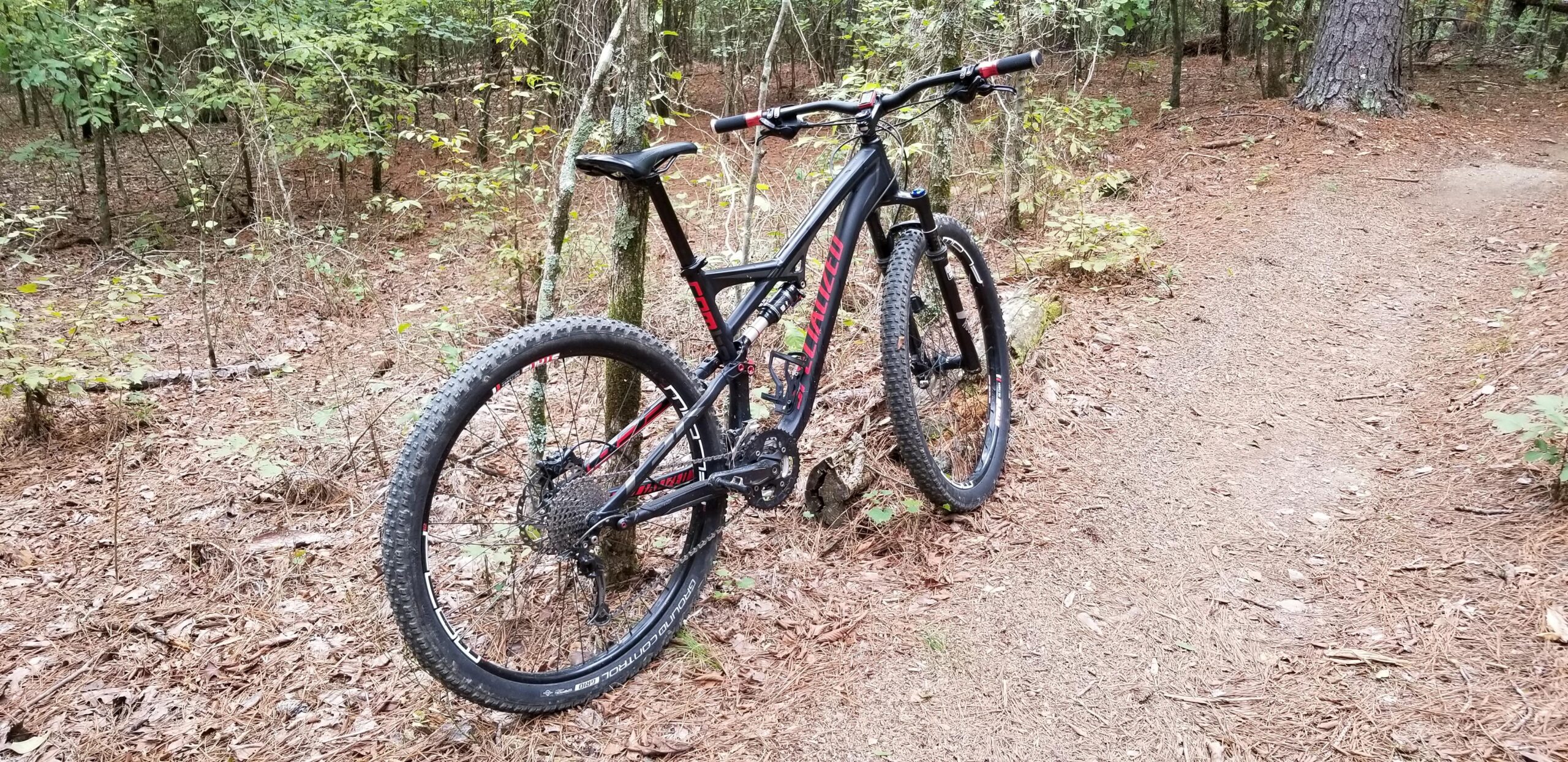 Specialized Camber 29: A mountain bike resting on a dirt trail surrounded by trees and foliage in a forest setting. Pine needles and leaves are scattered on the ground.