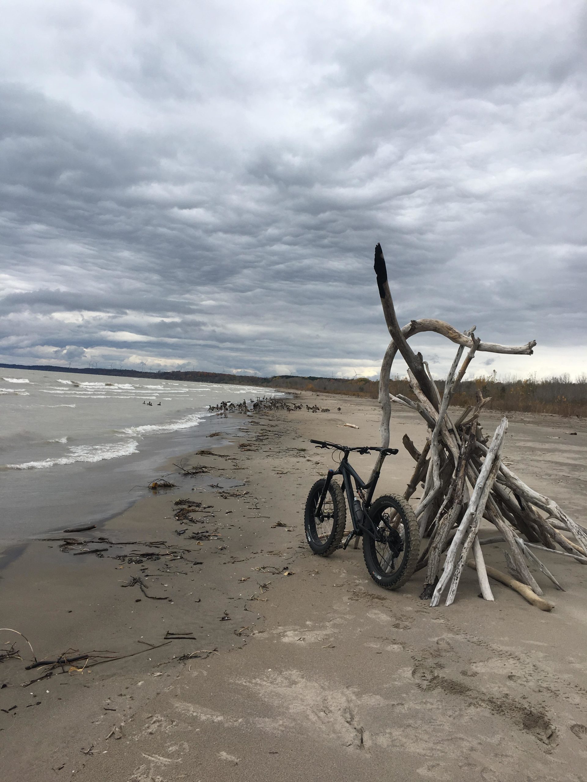 Port Burwell Provincial Park Mountain Bike Trail in Port Burwell
