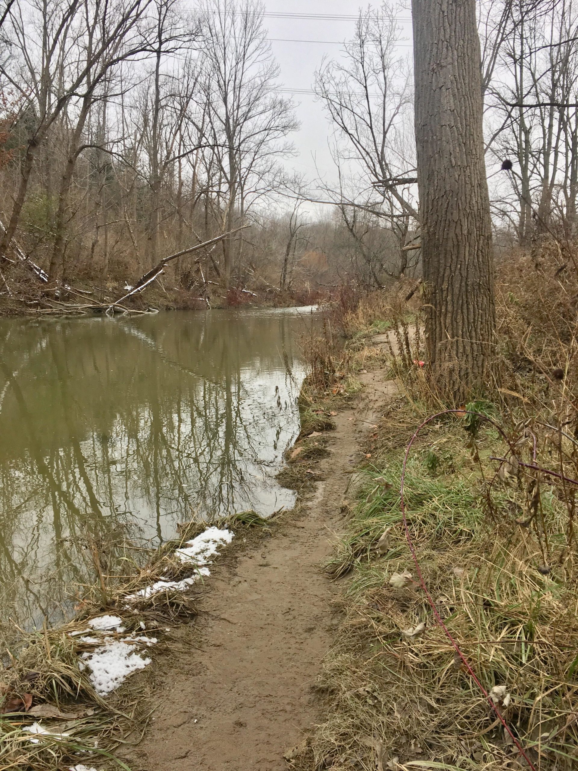 A tranquil view of a muddy path alongside a calm, slow-moving river. Leafless trees line the water's edge, reflecting faintly in the greenish water. Sparse patches of snow are visible on the ground, with dried grasses and twigs scattered along the path, creating a serene, natural landscape on a cloudy day. Dalewood (st.thomas) mountain bike trail.