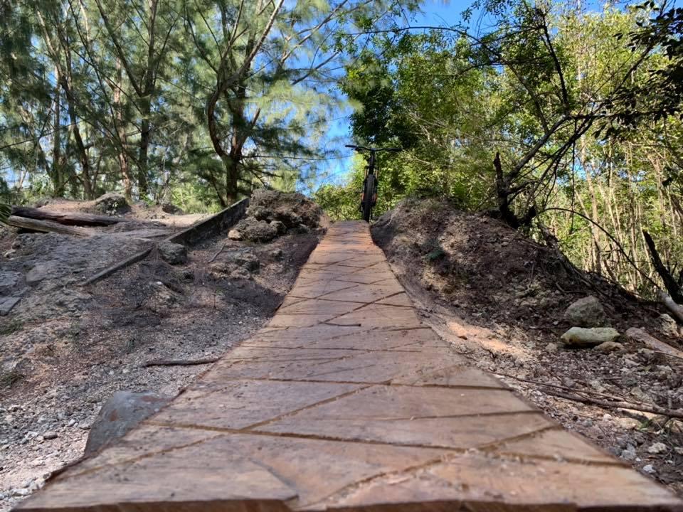 A winding stone pathway through a wooded area, flanked by trees and greenery, leading toward the horizon under a clear blue sky. Markham Park mountain bike trail.