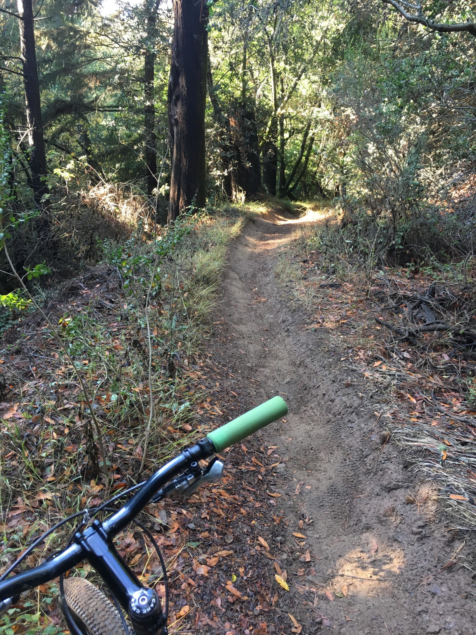 A close-up view of a mountain bike handlebar with green grips, positioned on a dirt trail winding through a lush forest. Sunlight filters through the trees, casting dappled light on the path, which is flanked by autumn foliage. Joaquin Miller mountain bike trail.