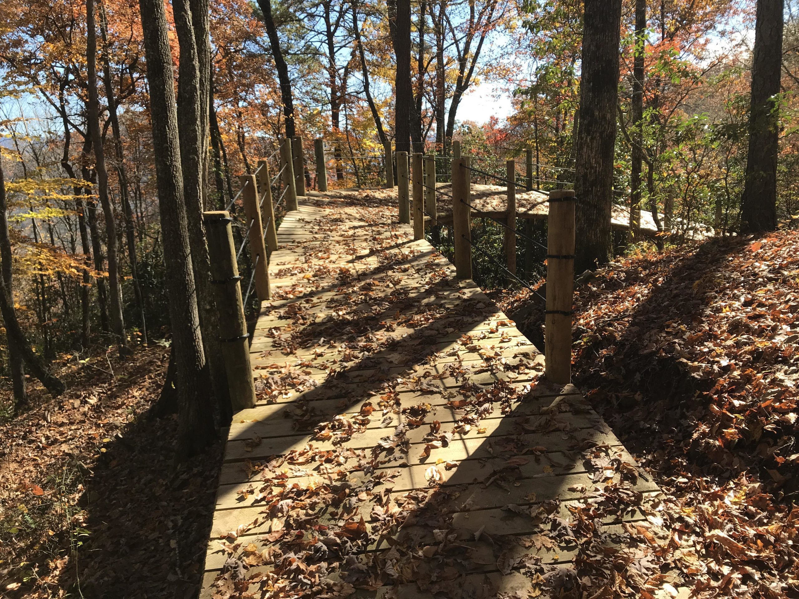 A wooden walking path meanders through a forest in autumn, lined with trees displaying colorful fall foliage. The ground is covered with fallen leaves, and shadows of the trees stretch across the path, creating a serene and tranquil atmosphere. Fire Mountain Trail System mountain bike trail.