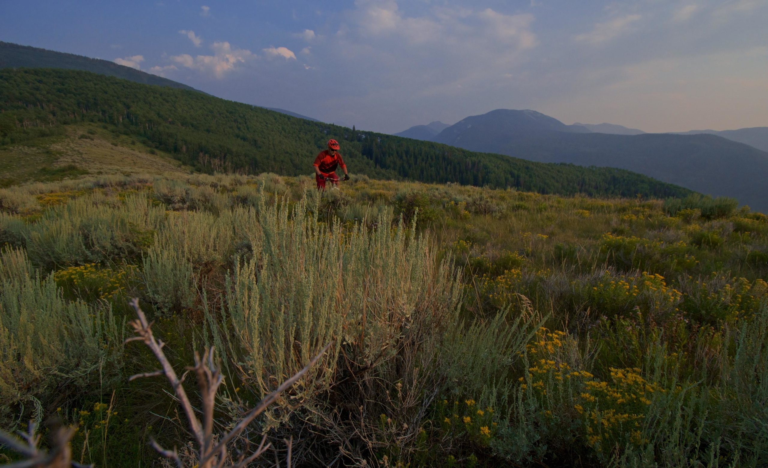 A mountain biker dressed in red gear rides through a grassy landscape dotted with wildflowers, surrounded by rolling hills and distant mountains under a partly cloudy sky. A-10 mountain bike trail.