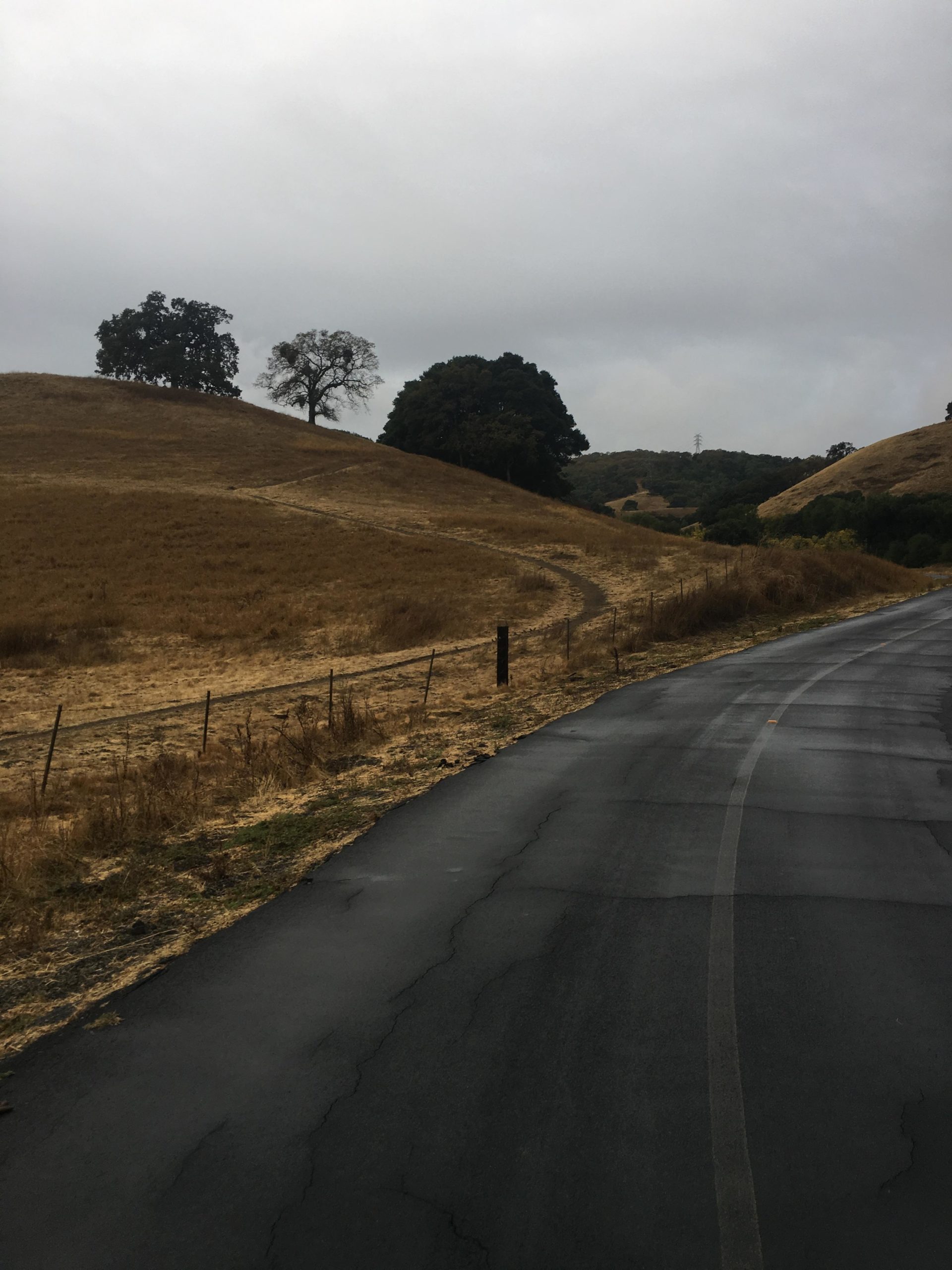 A winding road beside golden hills under a cloudy sky, with sparse trees in the background and a dirt path leading up the hillside. Briones Regional Park mountain bike trail.