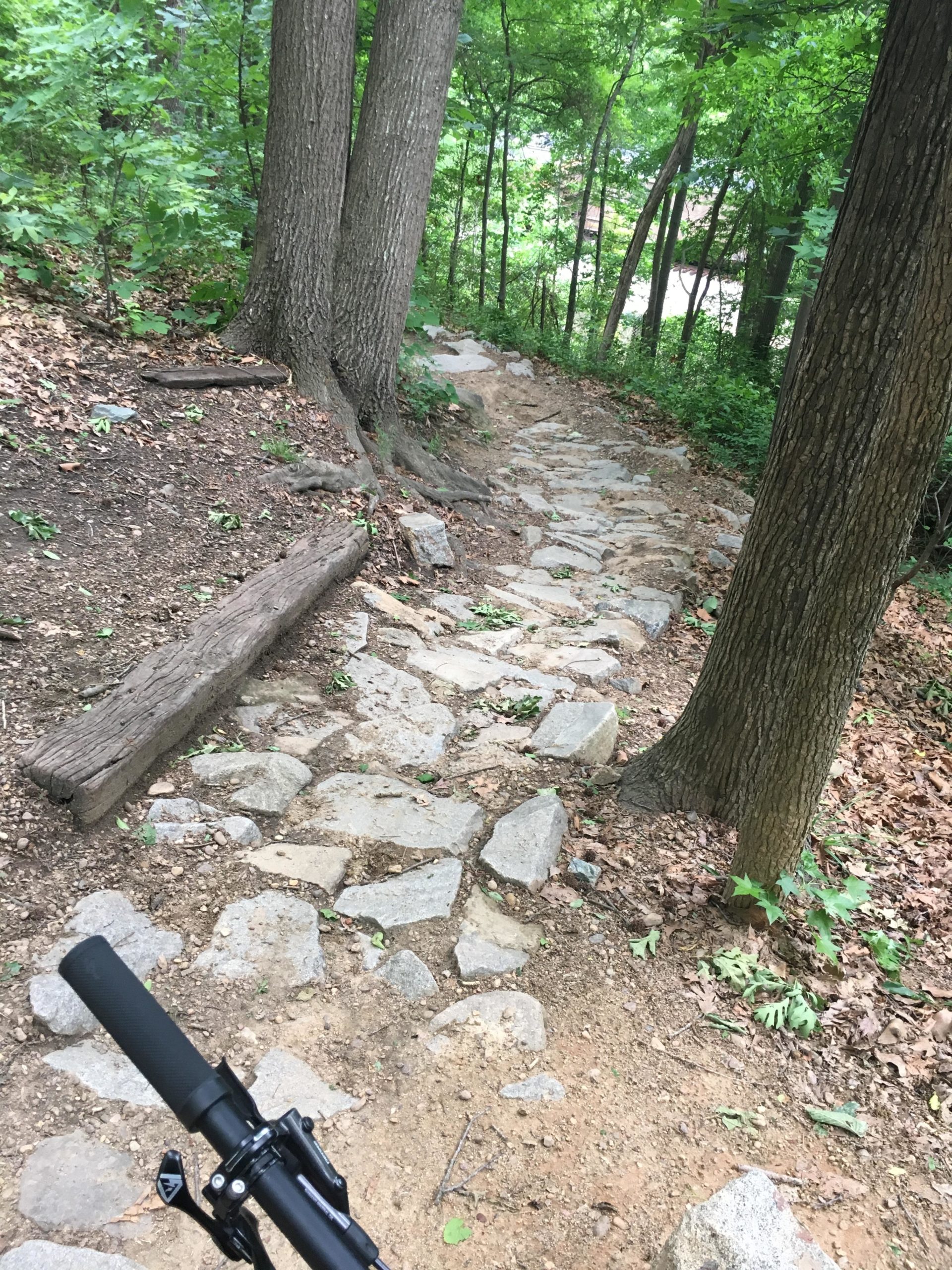 A rocky, winding trail leads through a lush, green forest, with tall trees flanking either side. A bicycle handlebar is partially visible in the foreground, indicating that the scene is set for biking or hiking. Leaves and natural debris are scattered along the path, creating a rustic outdoor ambiance. Northbank Trail mountain bike trail.