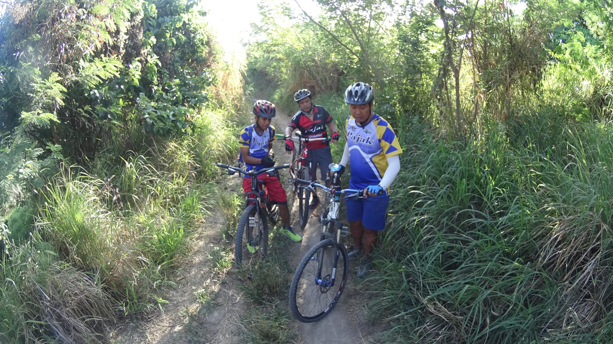 Three mountain bikers are stopped on a narrow dirt trail surrounded by tall grass and lush greenery. They are wearing colorful cycling jerseys and helmets while examining their bikes. The sun filters through the trees, creating a bright and vibrant outdoor scene. Paradise Ranch Trails mountain bike trail.