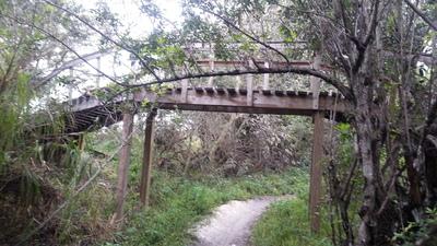 A wooden footbridge arching over a narrow path, surrounded by lush vegetation and trees. The scene is tranquil and nature-focused, showcasing the bridge as it blends into the natural landscape. Markham Park mountain bike trail.