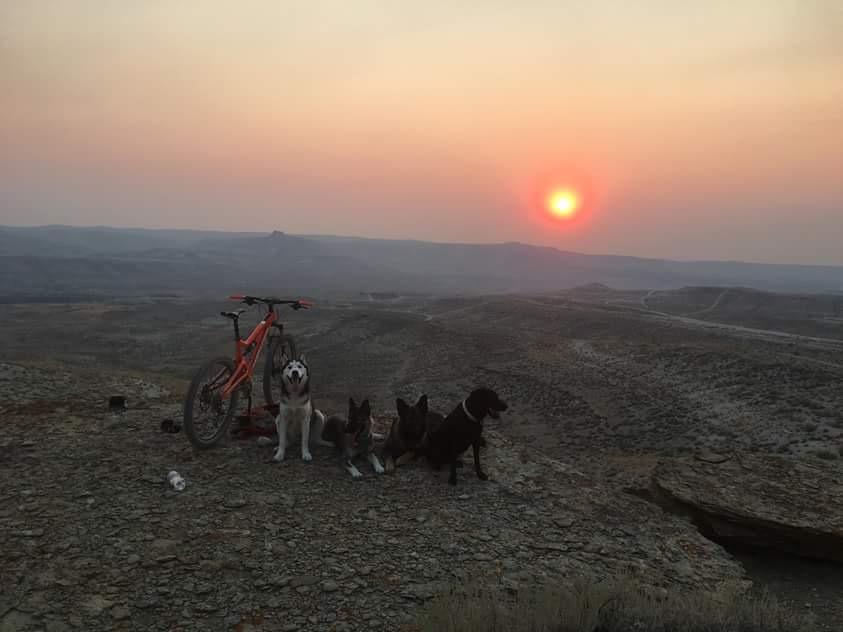 A mountain bike rests on rocky terrain with four dogs sitting beside it, framed by a sunset over a vast, open landscape. The sky is filled with warm hues as the sun sets on the horizon. Wilkins Peak Trails mountain bike trail.