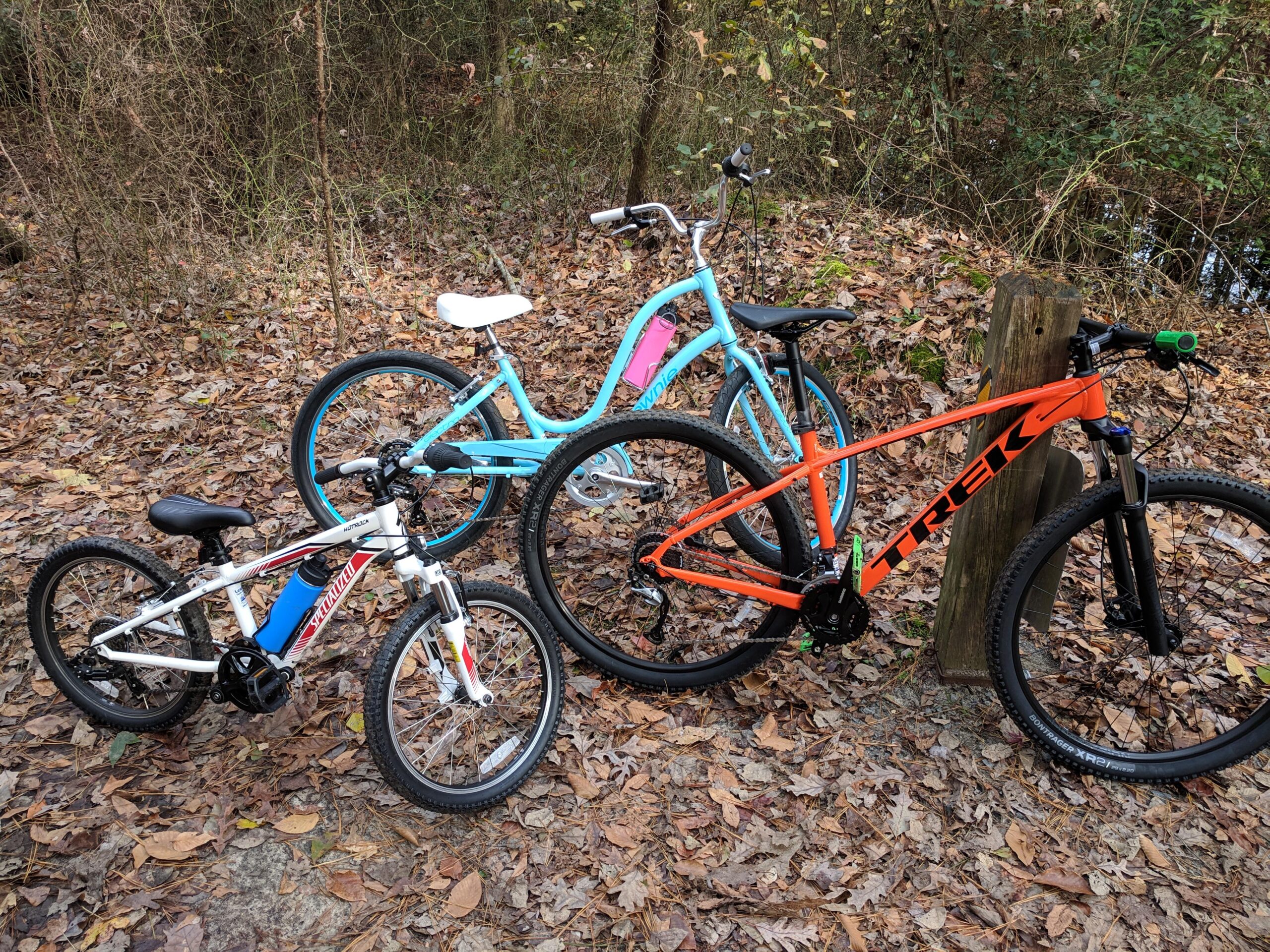 Trek 2019 Trek Marlin 7: Three bicycles are parked on a leaf-covered ground in a natural setting. The bicycles include a white and red children's bike with a blue water bottle, a turquoise beach cruiser, and a vibrant orange mountain bike with a black frame, leaning against a wooden post. Surrounding foliage features autumn leaves.