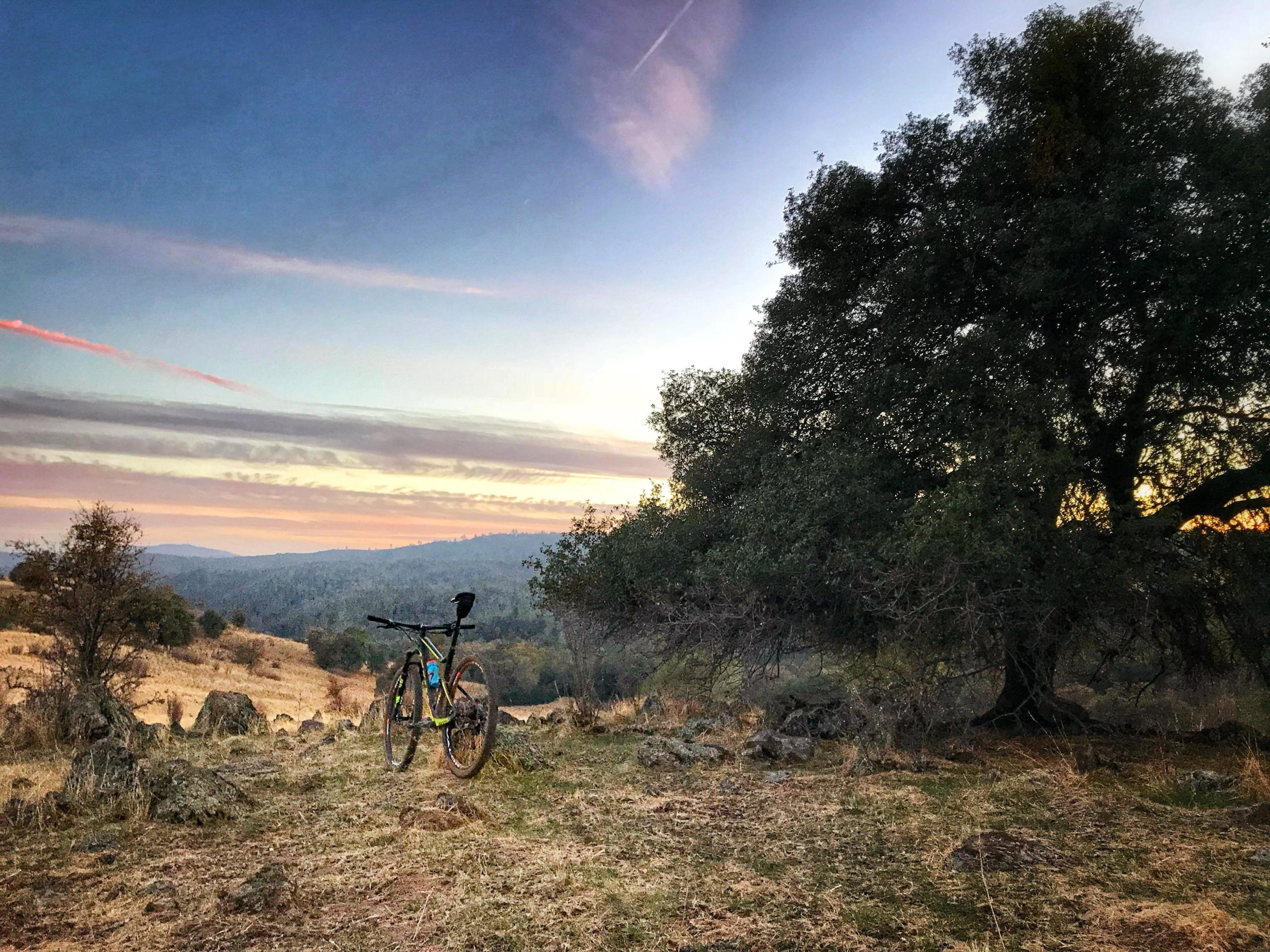 A mountain bike resting on a grassy hillside at sunset, with a large tree and rolling hills in the background. The sky features soft pastel colors, indicating a peaceful evening in a natural landscape. Cronan Ranch mountain bike trail.