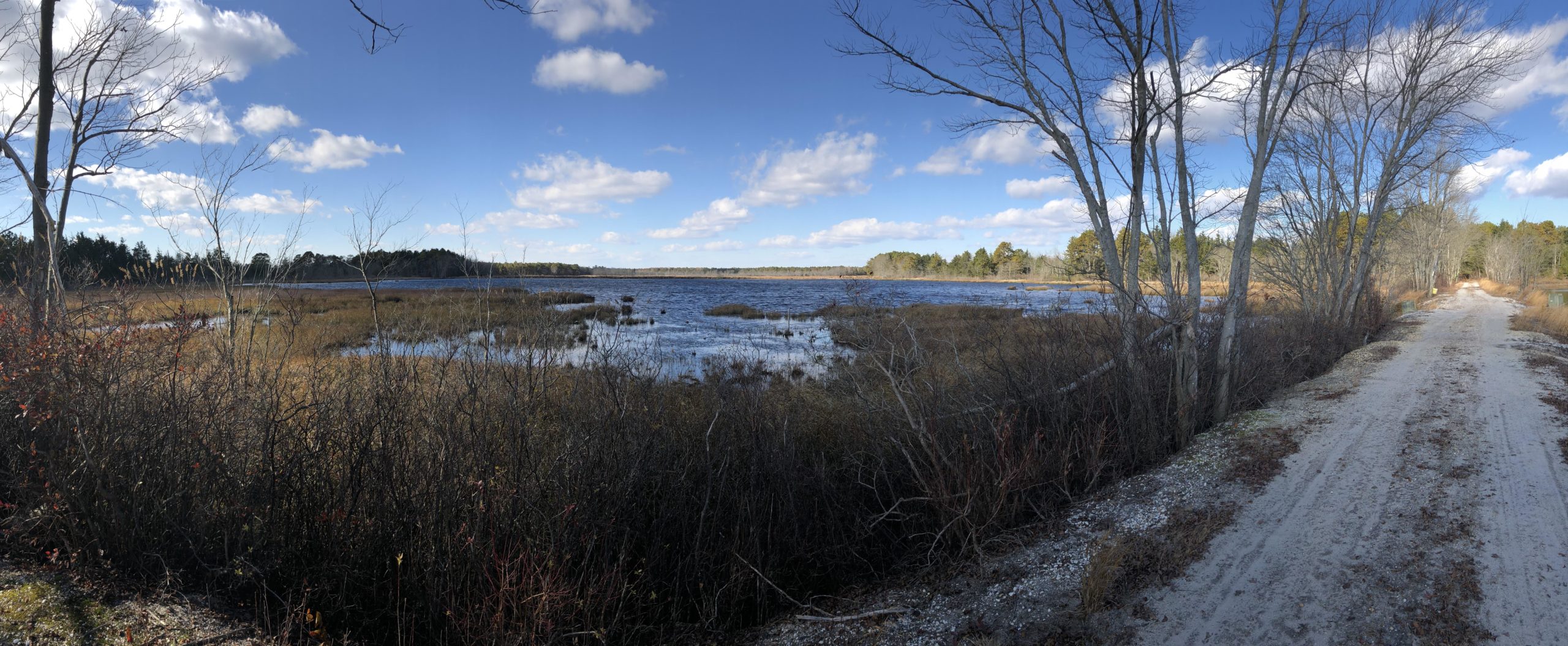 A panoramic view of a serene wetland area with a tranquil body of water, surrounded by patches of tall grasses and sparse trees. The sky is partly cloudy, casting soft shadows on the landscape. A dirt path runs along the edge of the water, inviting exploration of the natural scenery in the distance. Brendan T. Byrne / Lebanon State Park mountain bike trail.
