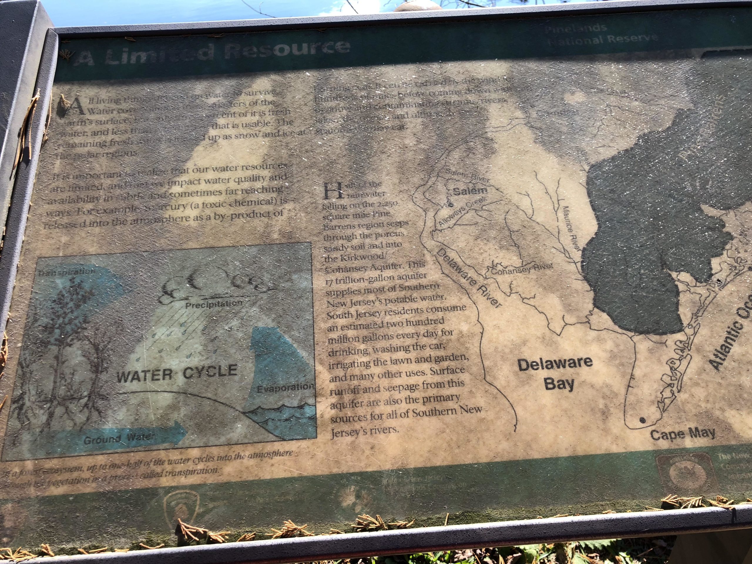 A weathered informational sign about water resources, featuring a map of the Delaware Bay and surrounding rivers, along with a diagram illustrating the water cycle, including components like precipitation, evaporation, and groundwater. The text highlights the importance of water quality and its impact on the environment. Brendan T. Byrne / Lebanon State Park mountain bike trail.