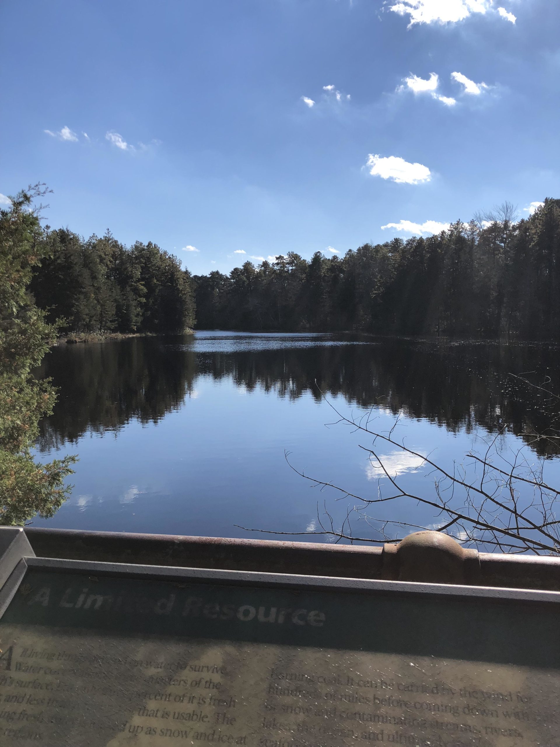 A tranquil view of a calm lake surrounded by dense trees under a clear blue sky with fluffy white clouds. In the foreground, part of an informational sign is visible, discussing the importance of water as a limited resource. Brendan T. Byrne / Lebanon State Park mountain bike trail.