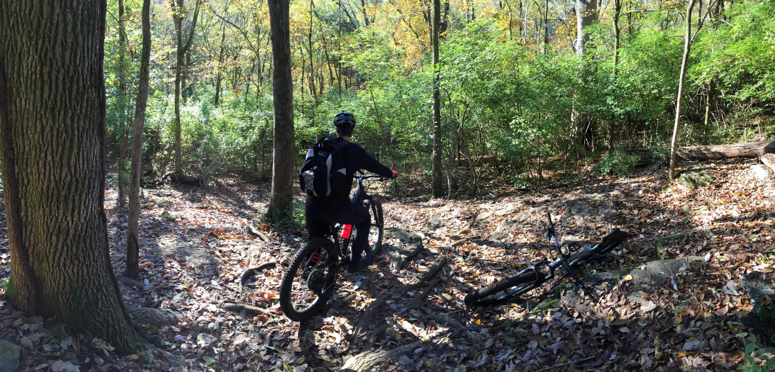 A mountain biker stands beside their bike on a narrow, leaf-covered trail in a forested area. The surroundings include tall trees with green foliage, hints of autumn colors, and scattered rocks. Sunlight filters through the trees, illuminating the scene. Another bike lies on the ground nearby. Percy Warner Mountain Bike Trails mountain bike trail.