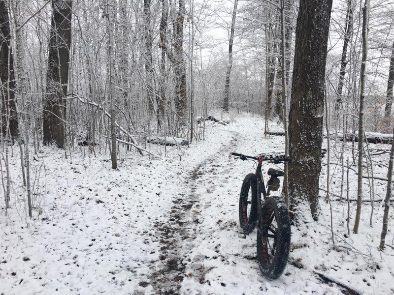 A fat bike stands beside a snowy trail winding through a winter forest, with trees blanketed in fresh snow and a peaceful, overcast sky above. Fanshawe Lake mountain bike trail.
