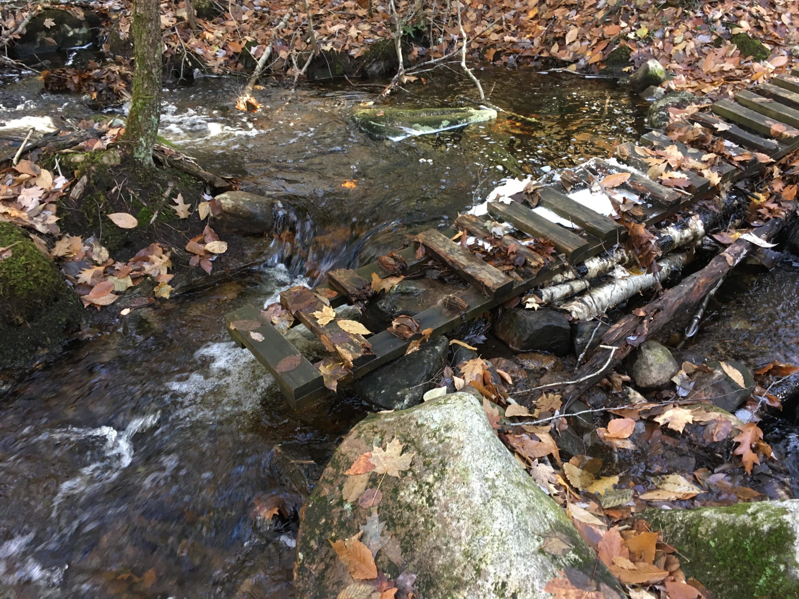A small wooden footbridge spans over a gently flowing stream in a forested area, surrounded by rocks and fallen autumn leaves. The water reflects the natural surroundings, and the scene is serene and tranquil. Drummer Park mountain bike trail.