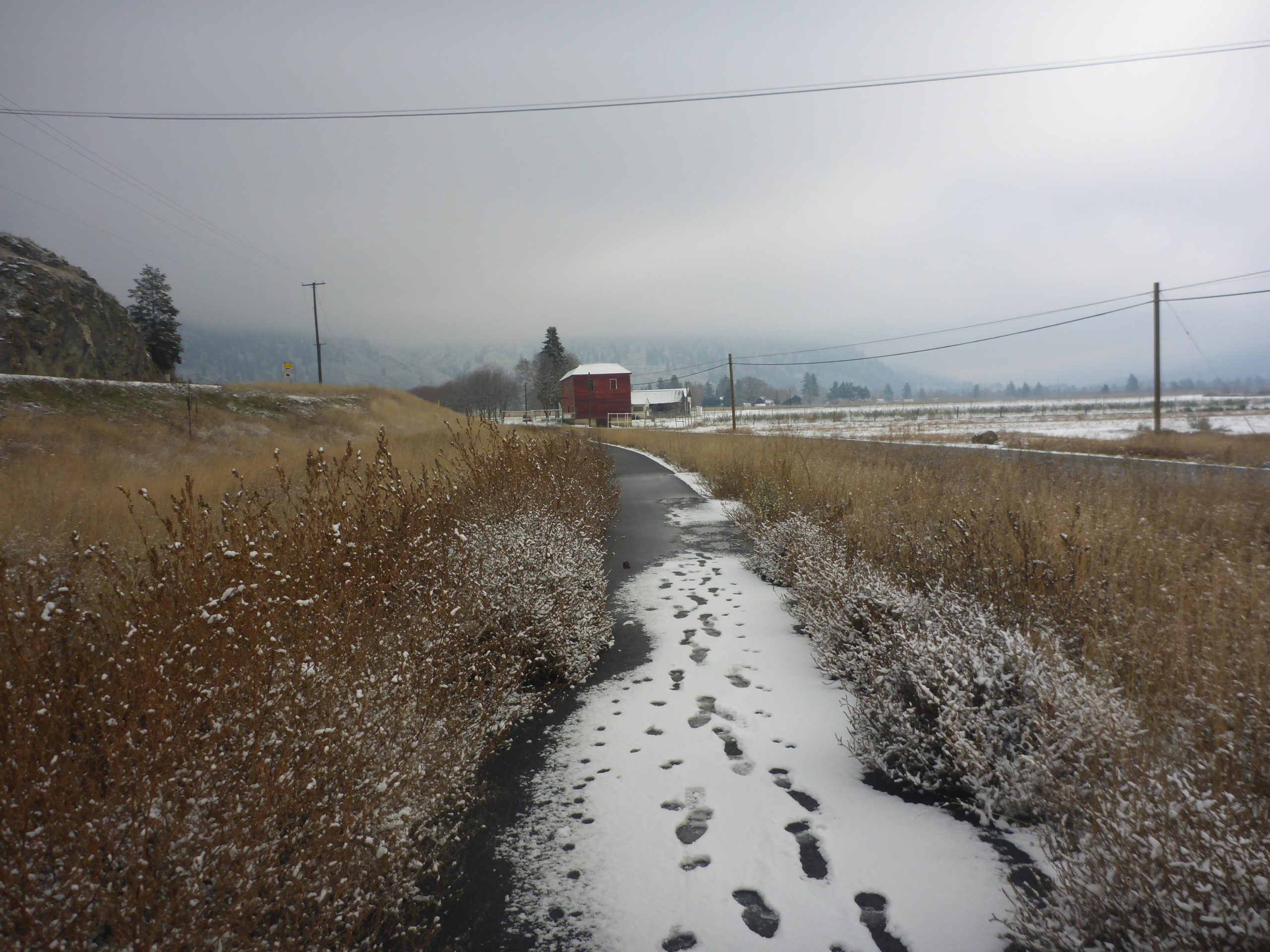 A snowy pathway lined with brown shrubs leads to a distant red barn under a cloudy sky, with rolling hills in the background. Footprints are visible in the fresh snow along the path. Trans Canada Trail - Grand Forks to Christine Lake mountain bike trail.