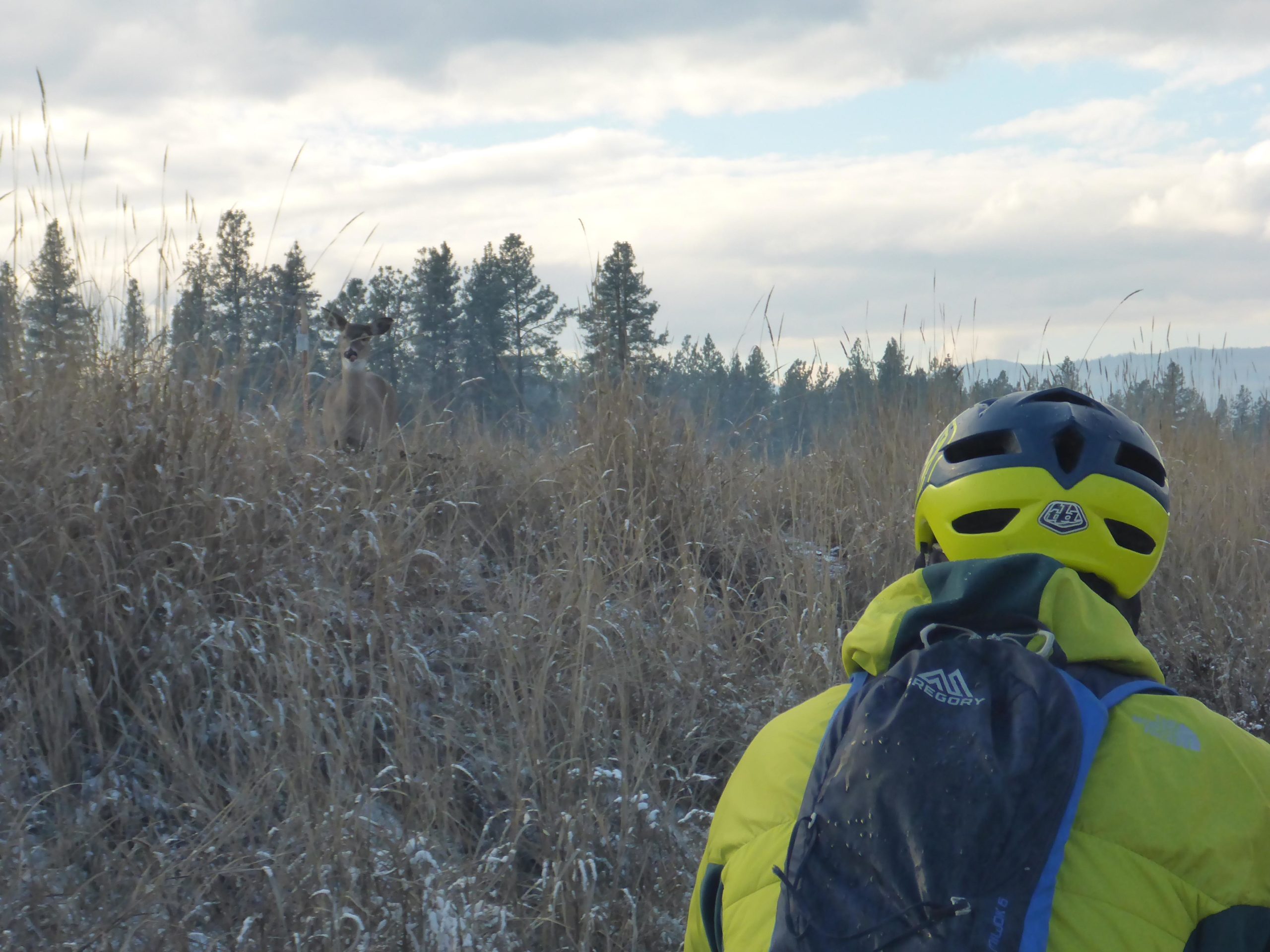 A cyclist in a bright yellow helmet and green jacket is observing a deer standing among tall grass in a natural landscape, with trees and cloudy skies in the background. Trans Canada Trail - Grand Forks to Christine Lake mountain bike trail.
