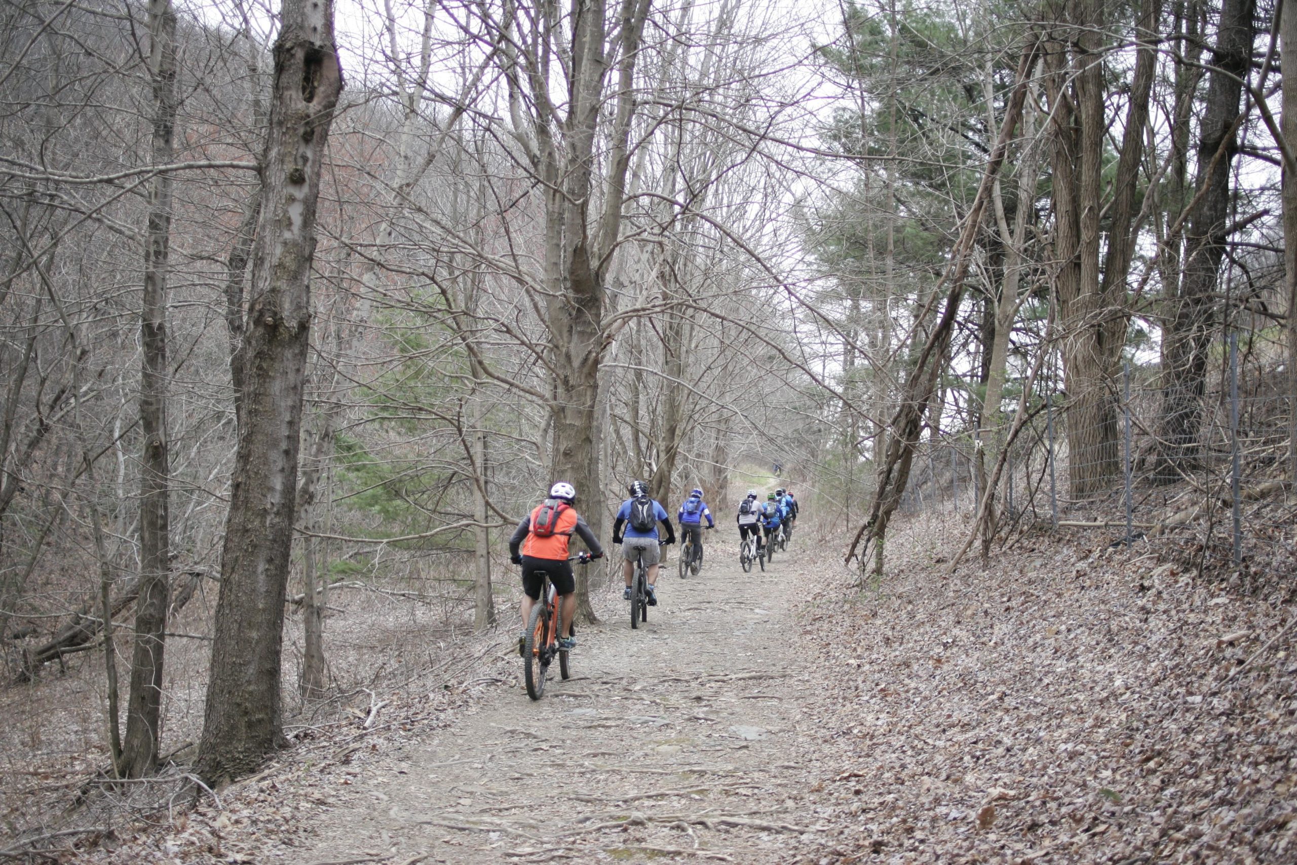 A group of six mountain bikers riding along a narrow, rocky dirt trail through a forest with bare trees. The scene is set in a cool, overcast environment, showcasing the natural surroundings with a mix of leafless branches and a few evergreen trees in the background. Kitsuma mountain bike trail.