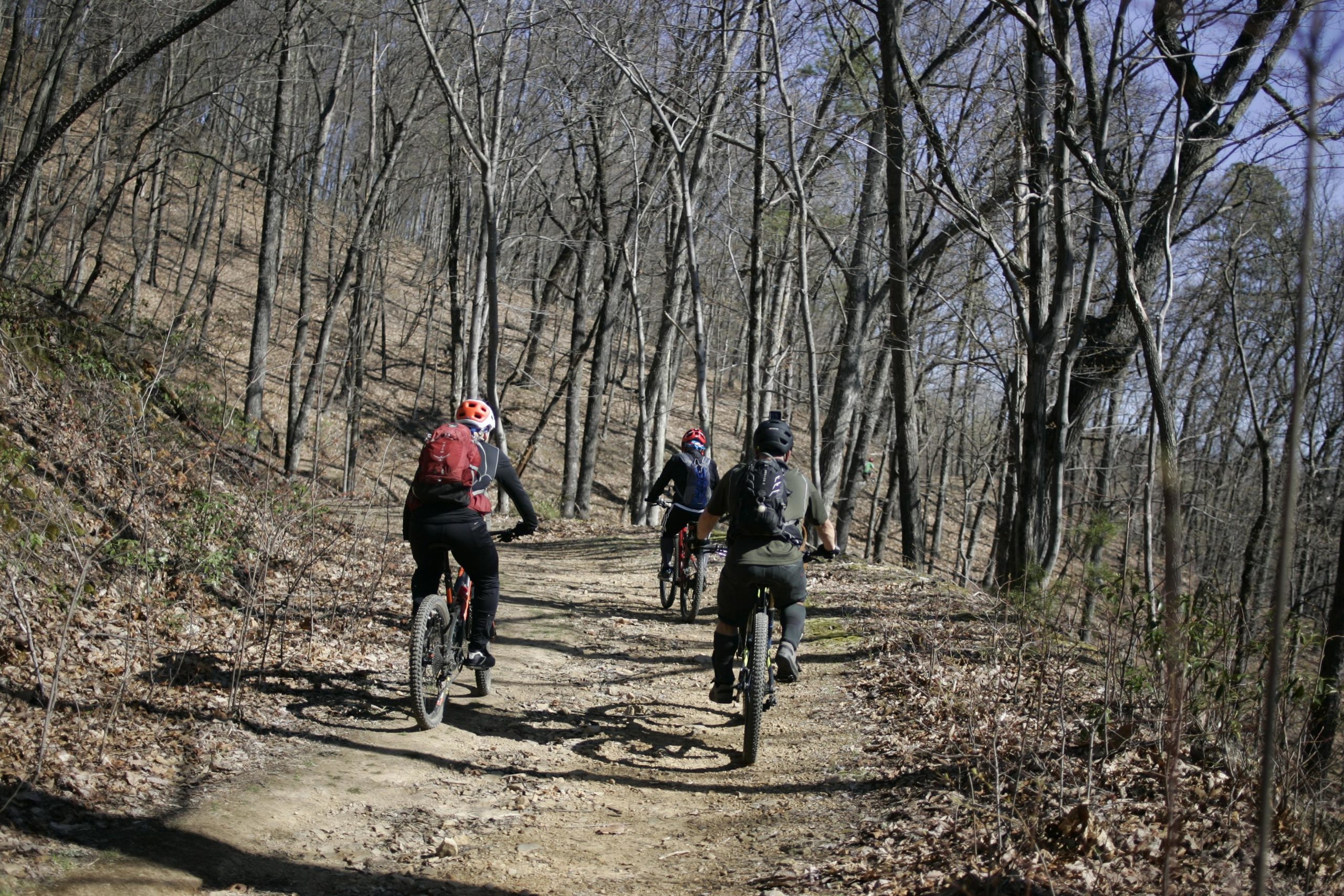 Four mountain bikers ride along a dirt trail through a wooded area. The trees are bare, suggesting early spring or late winter. The trail winds uphill, and the cyclists are seen from behind, each wearing helmets and backpacks as they enjoy their outdoor adventure. Carvin's Cove Trail system mountain bike trail.