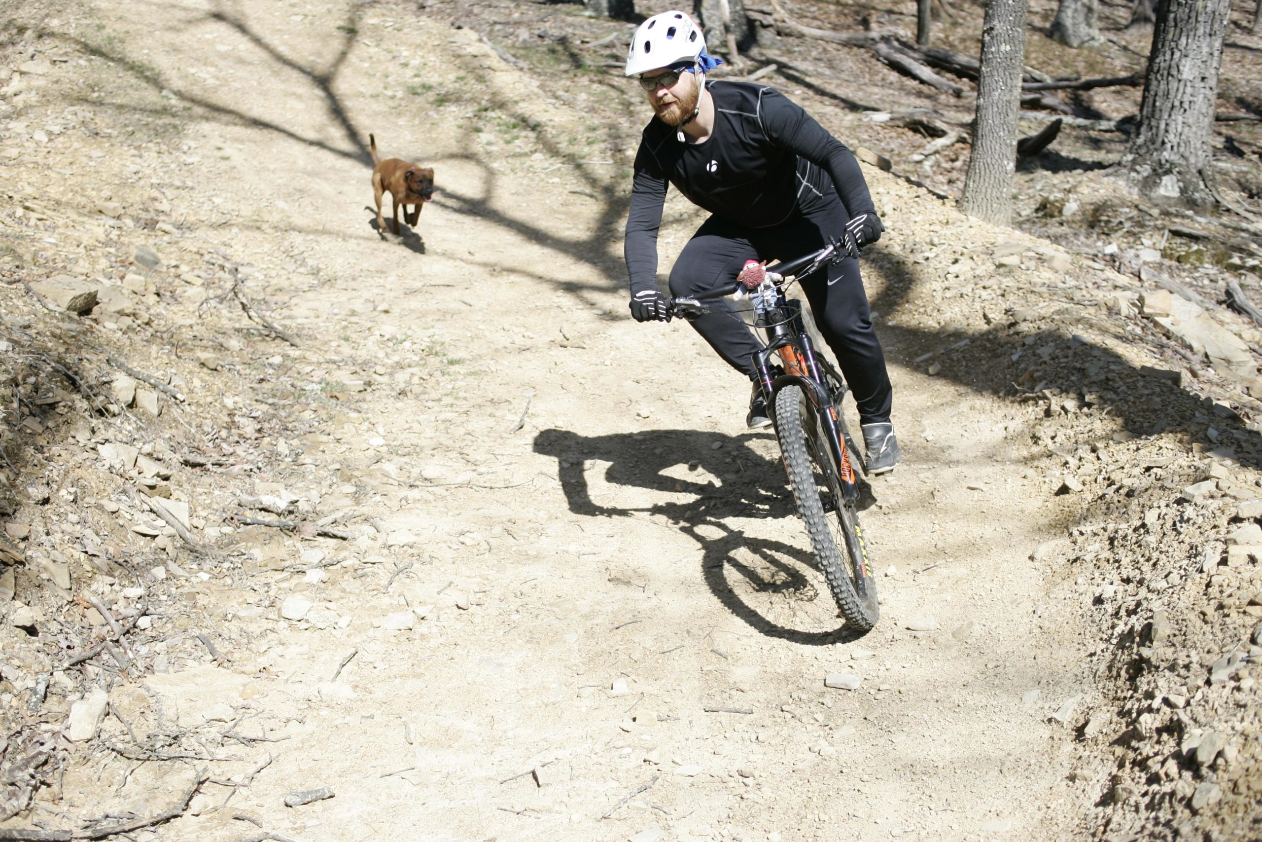 A person in athletic wear rides a mountain bike along a dirt trail, while a brown dog runs alongside them in a forested area. The scene captures a sunny day with trees in the background and a rocky, uneven path. Carvin's Cove Trail system mountain bike trail.
