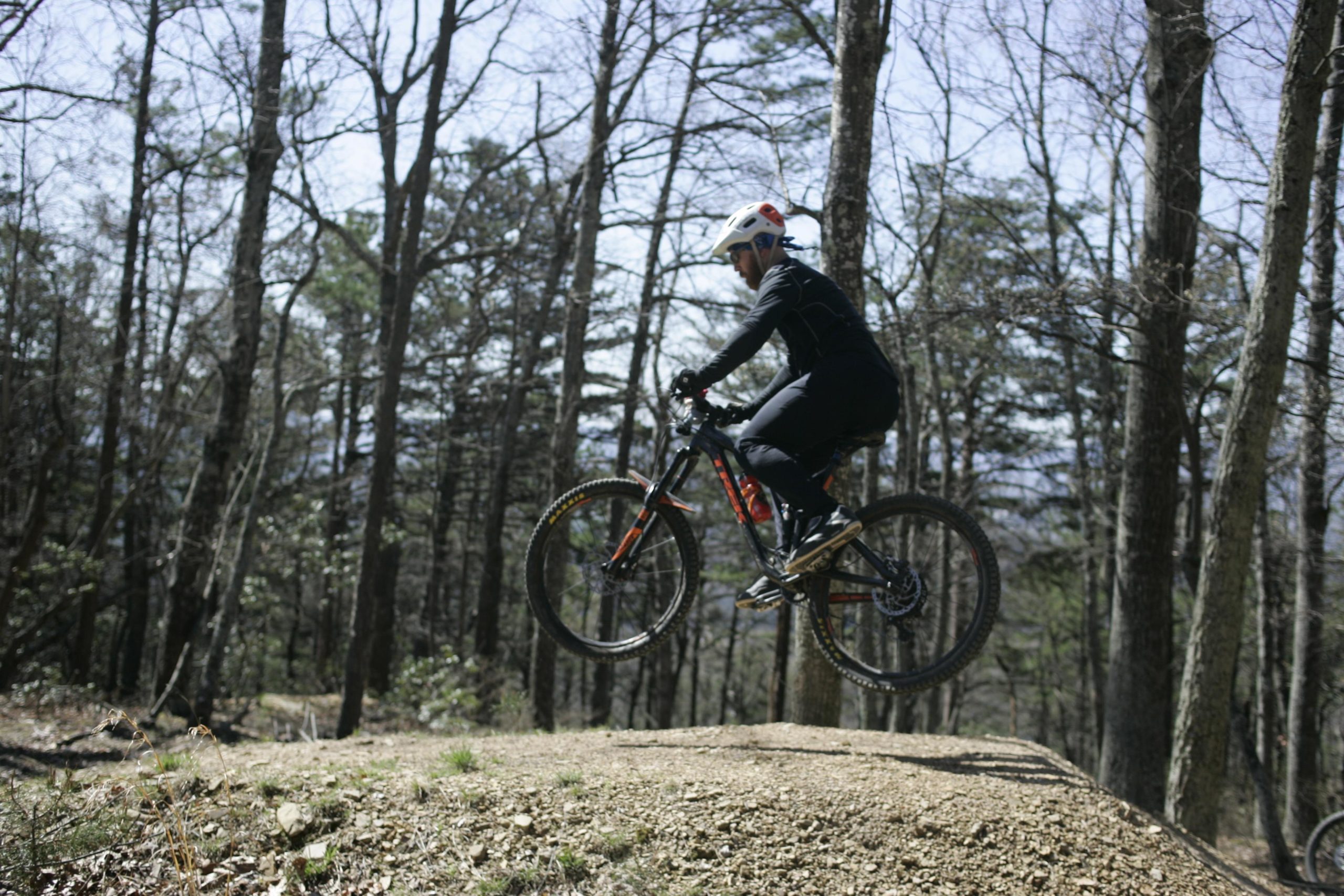 A mountain biker performs a jump over a dirt ramp in a forested area, surrounded by bare trees and a clear blue sky. The rider is wearing a helmet and athletic gear, showcasing an action-packed moment of mountain biking. Carvin's Cove Trail system mountain bike trail.