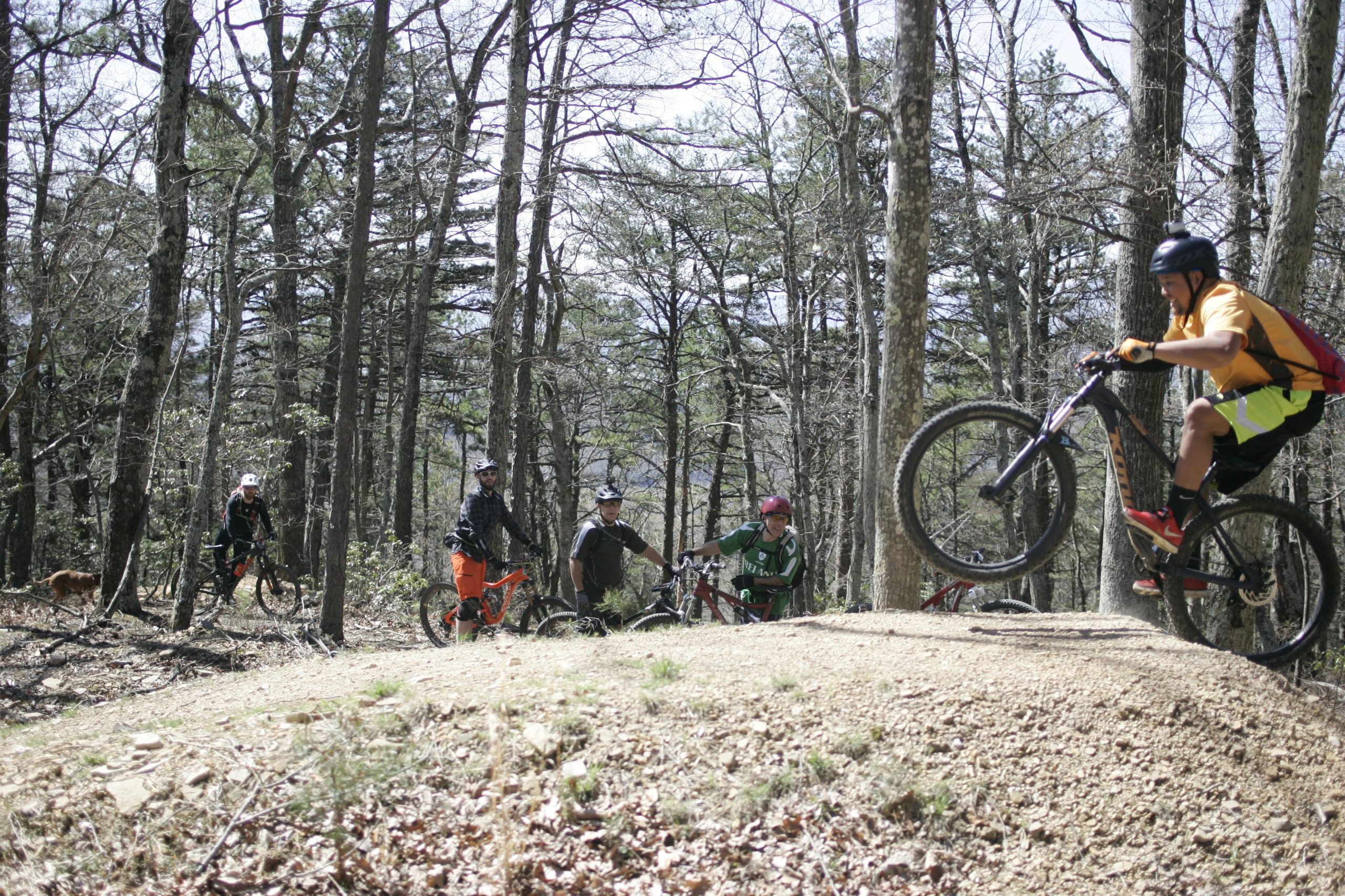 A group of mountain bikers is gathered in a wooded area, with several trees in the background. One rider is airborne, performing a jump on a dirt ramp, while others are watching. The bikers are dressed in various athletic gear, with bright colors. A dog can be seen in the lower left part of the image. The scene captures a lively outdoor cycling activity amidst nature. Carvin's Cove Trail system mountain bike trail.