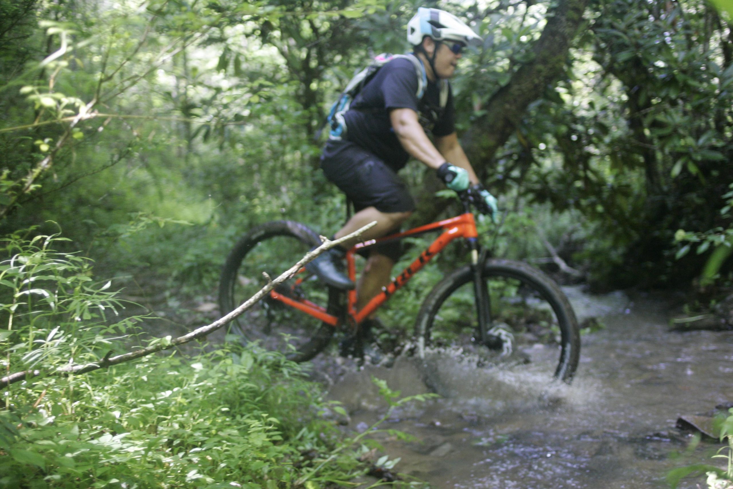 A mountain biker navigating through a lush, green forest trail, splashing through a shallow stream, with sunlight filtering through the trees. The cyclist is wearing a helmet, gloves, and a backpack, showcasing an intense focus on the ride. Tsali Left Loop mountain bike trail.