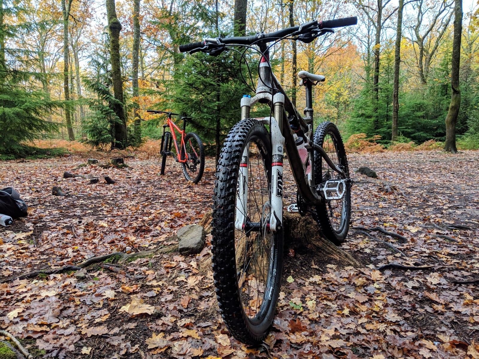 Trek Rumblefish Elite: Two mountain bikes are parked in a forest setting, surrounded by autumn foliage and fallen leaves. One bike is positioned in the foreground with focus on its front wheel, while the other bike is in the background, partially obscured by trees. The scene captures the serene beauty of a wooded area, with vibrant greenery and hints of fall colors in the trees.
