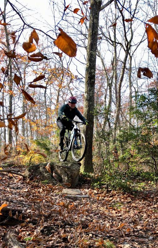 A mountain biker in mid-air, jumping off a rock in a forested area with autumn leaves. The landscape includes bare trees and fallen leaves, capturing the essence of an outdoor biking adventure. Rockland Preserve mountain bike trail.