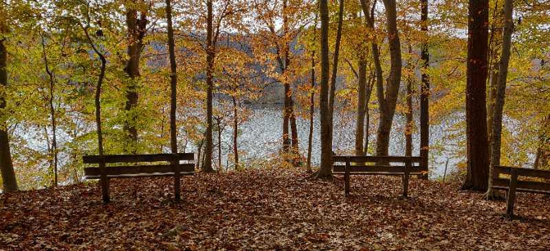 A tranquil scene featuring two wooden benches positioned among autumn foliage, overlooking a serene lake. The surrounding trees display vibrant fall colors, with orange, yellow, and green leaves scattered on the ground. The calm water reflects the beauty of the landscape, creating a peaceful atmosphere in nature. Wakefield mountain bike trail.