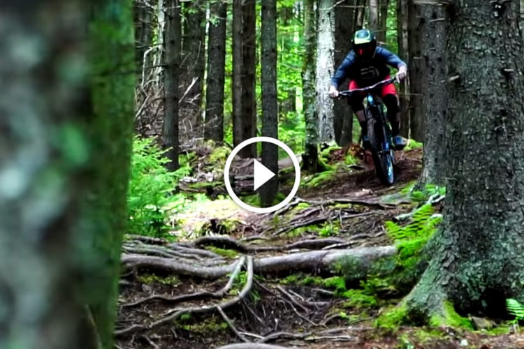 A mountain biker navigating a narrow, forested trail covered with roots and greenery, surrounded by tall trees. A play button overlay indicates that the image links to a video.