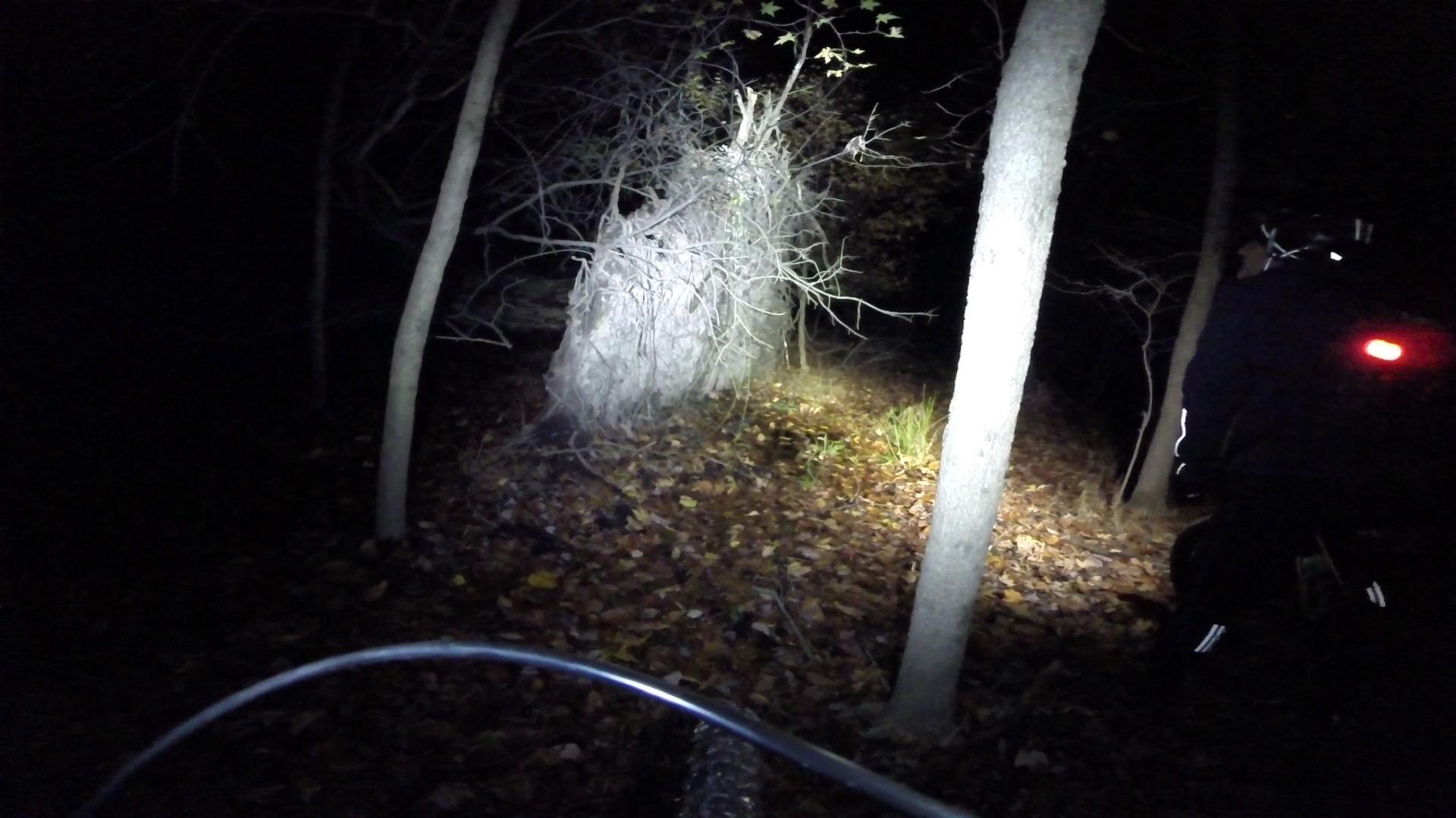 A nighttime forest scene illuminated by a bicycle headlight, highlighting a patch of ground covered in leaves and a light-colored, bushy structure in the background. A bicyclist, dressed in dark clothing with a reflective strip, is partially visible on the right side, facing away from the camera. The surrounding area is dark, with tall trees and underbrush. Richmond Avenue and Forest Hill road mountain bike trail.