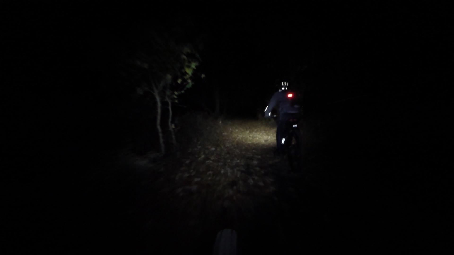 A cyclist riding on a dimly lit trail at night, illuminated by a bike light, with trees visible in the background and fallen leaves on the ground. Richmond Avenue and Forest Hill road mountain bike trail.