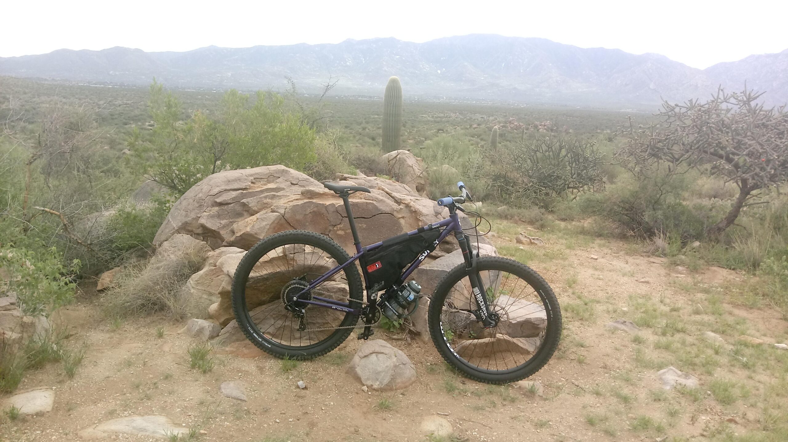Surly Krampus: A mountain bike leaning against a large rock in a desert landscape, surrounded by shrubs and cacti with mountains in the distance under a cloudy sky.