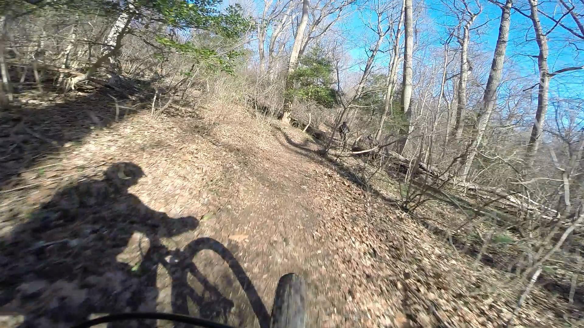 A mountain biker rides along a narrow dirt trail surrounded by trees and fallen leaves, with a clear blue sky visible above. Shadows are cast on the ground from the biker and the surrounding vegetation. Hartshorne Woods Park mountain bike trail.