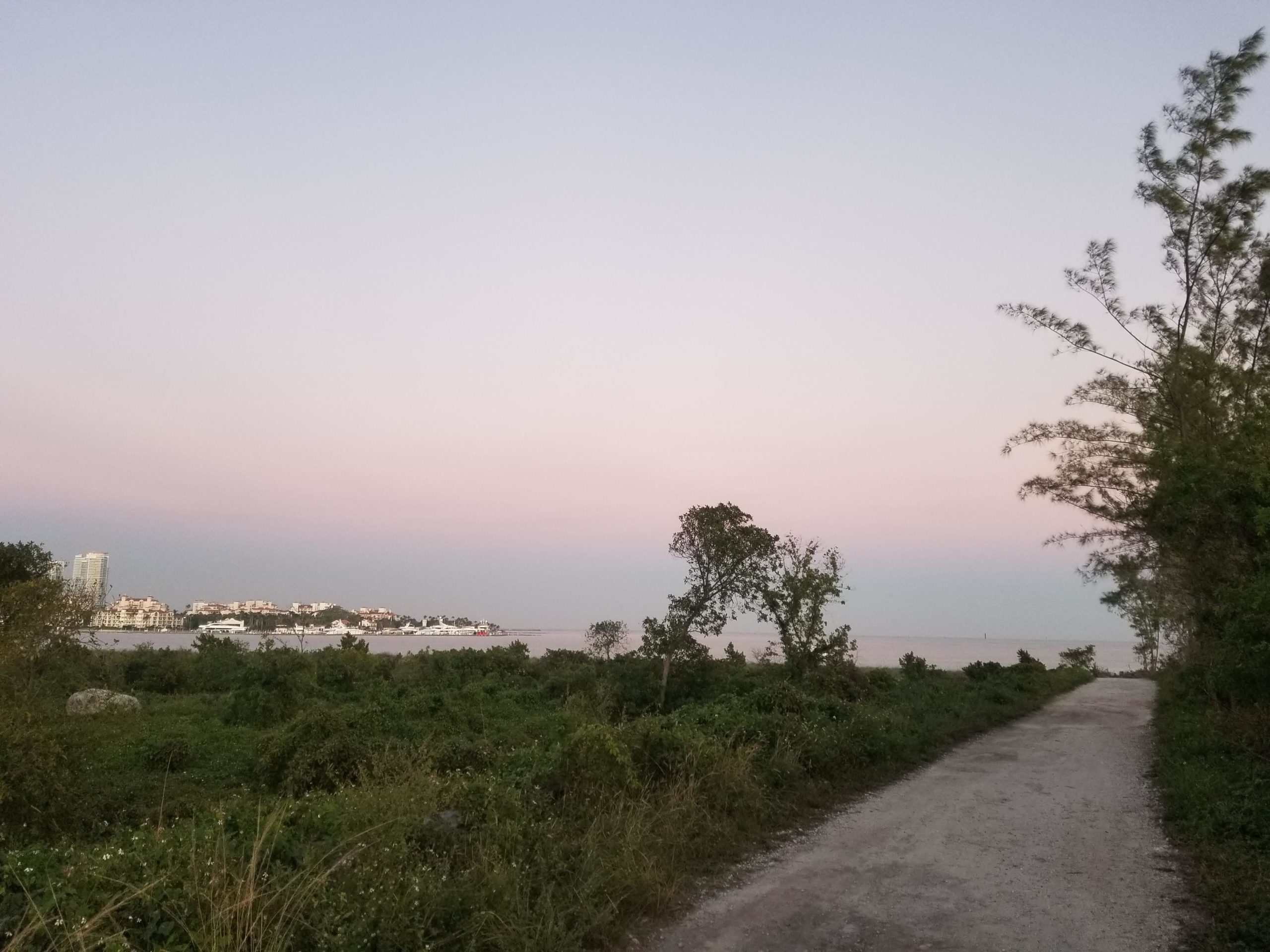 A scenic view of a coastal path leading towards the water, with lush greenery on both sides. The skyline features buildings in the distance under a pastel-colored sky at dusk. Virginia Key North Point mountain bike trail.