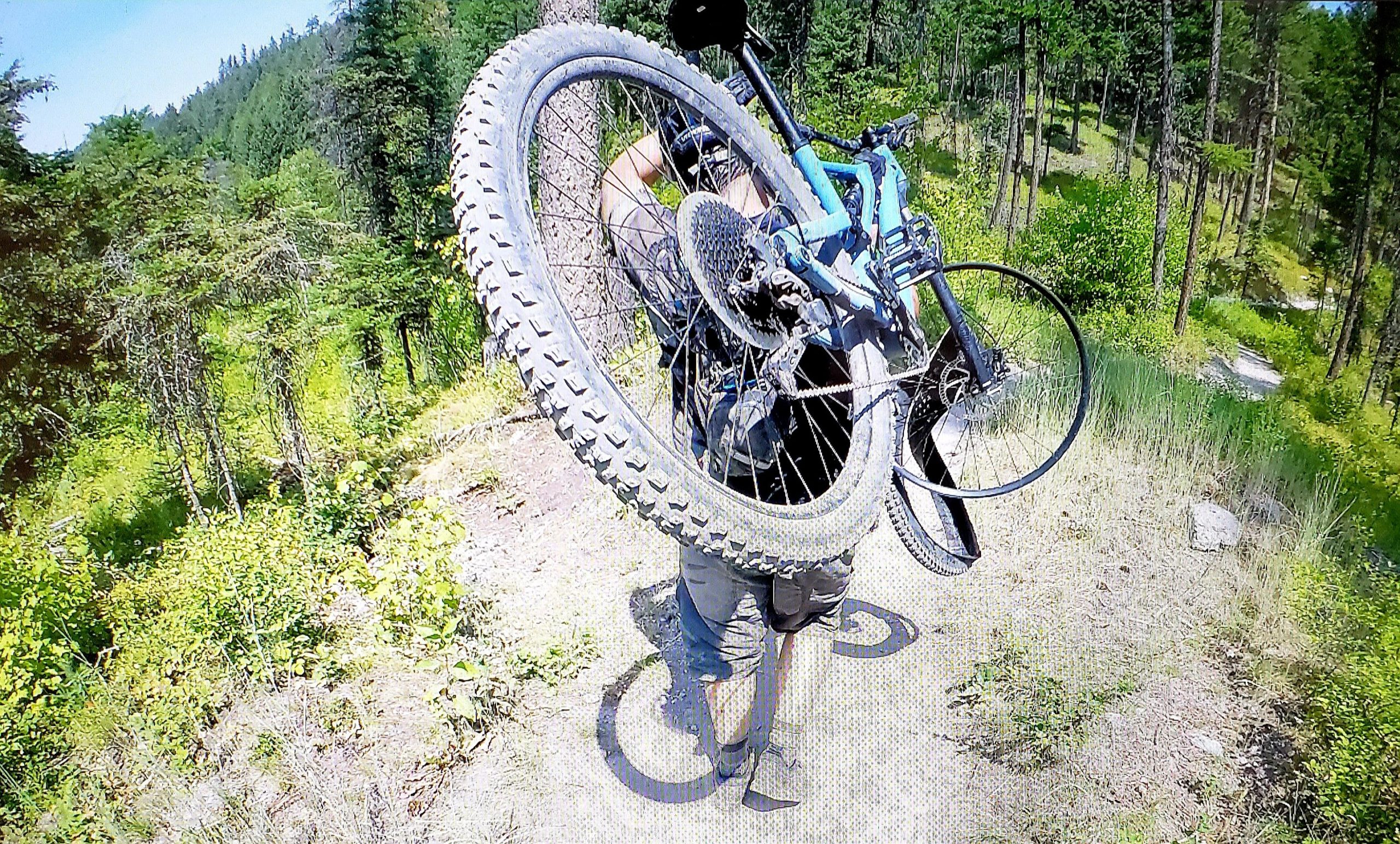 A person carrying a mountain bike on a trail surrounded by lush greenery and trees. The individual is positioned so that the bike's rear wheel is raised above their shoulder, showcasing the tire treads. Sunlight filters through the trees, illuminating the vibrant foliage along the path. Whitefish Mountain Resort mountain bike trail.