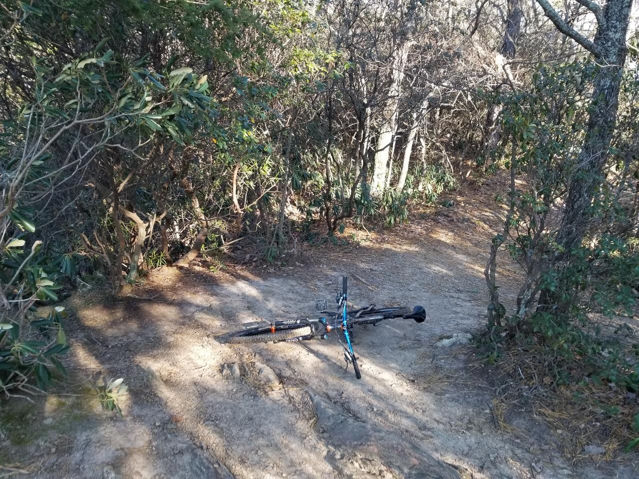 A mountain bike lying on a dirt trail surrounded by dense brush and trees. The trail appears rugged and uneven, with patches of sunlight filtering through the foliage. Kitsuma mountain bike trail.