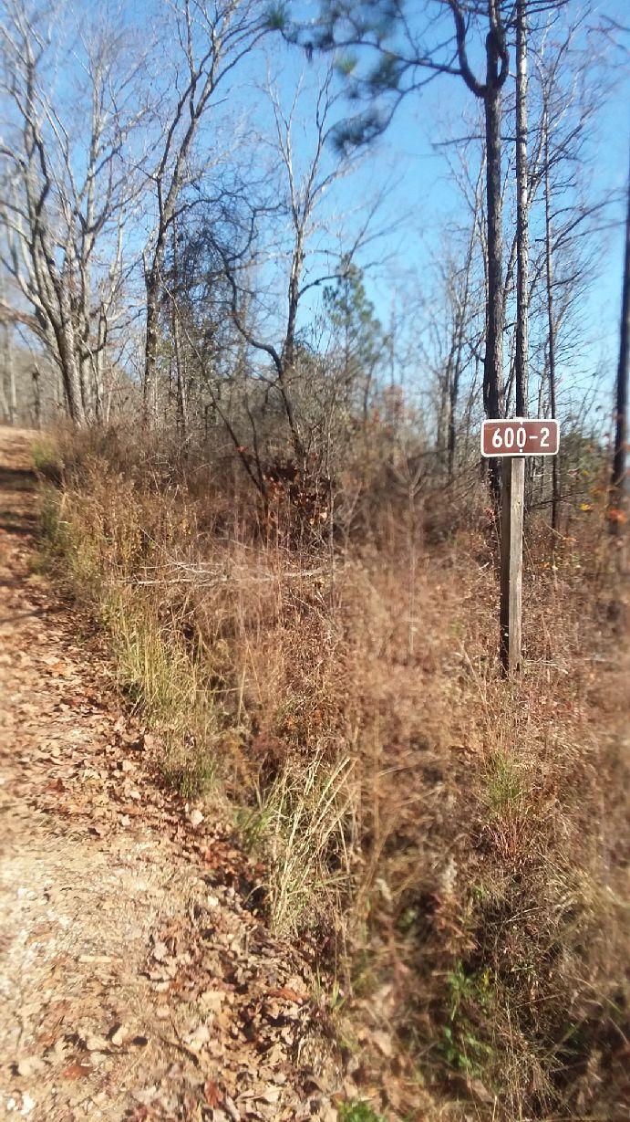 A dirt path lined with tall grass and dry leaves, leading into a wooded area. On the right, a wooden post displays the number "600-2". The trees are mostly bare, indicating it is likely autumn or winter, under a clear blue sky. Cr 600-2 mountain bike trail.