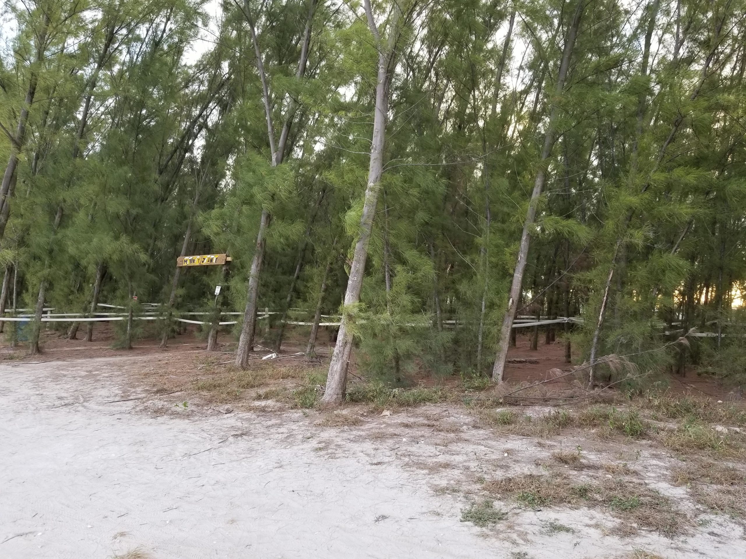 A sandy path leads into a dense stand of tall, green trees. A wooden sign hangs above the entrance, partially obscured by the foliage. In the foreground, there is sparse grass and sandy soil, while the background features more trees and a wooden fence. Virginia Key North Point mountain bike trail.