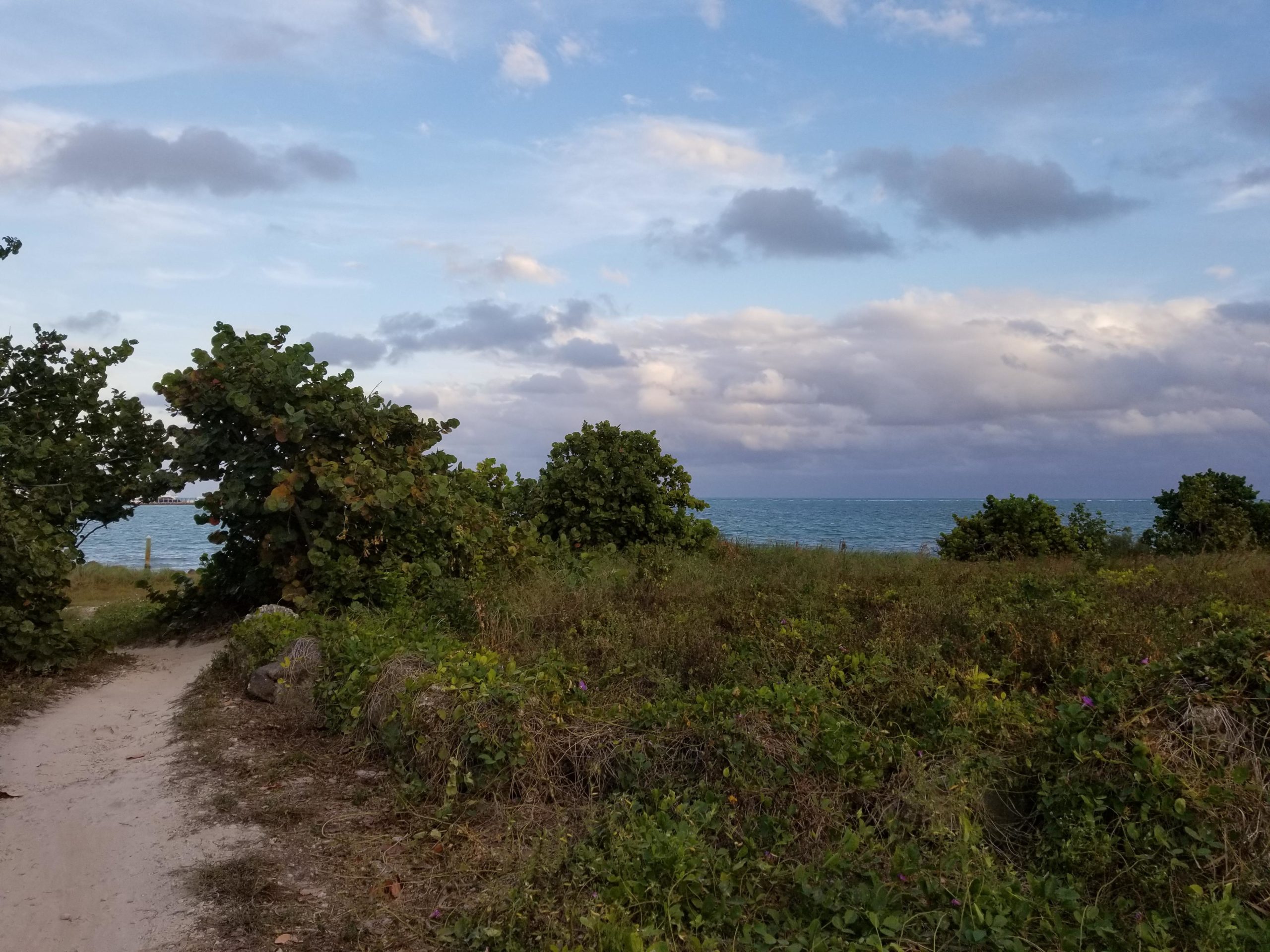 A sandy path leading through green vegetation towards a calm ocean under a partially cloudy sky. The view showcases the water's surface shimmering in the daylight, with lush greenery on either side of the path. Virginia Key North Point mountain bike trail.