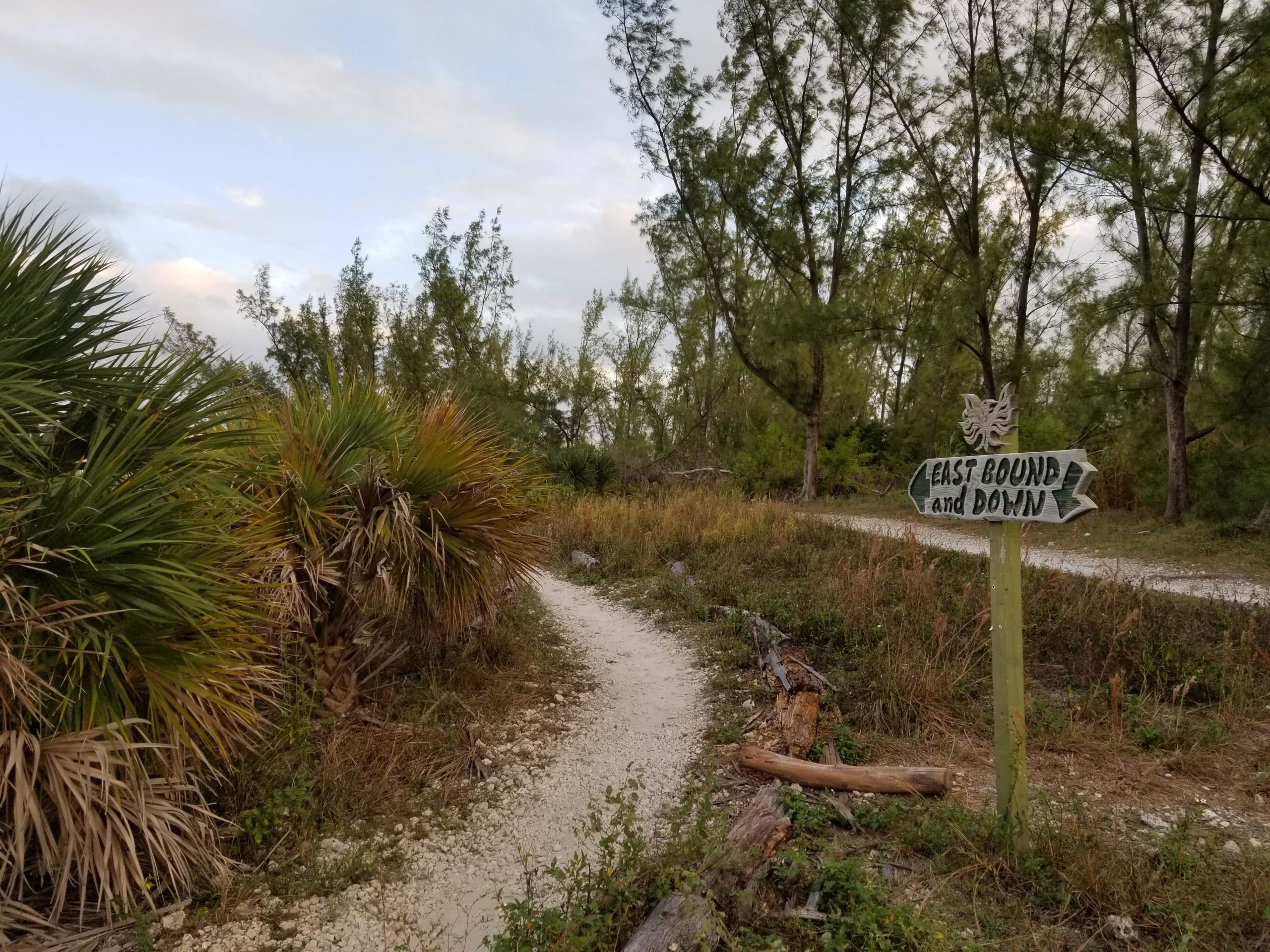 A winding dirt path surrounded by lush greenery and palm trees, with a wooden signpost on the right that reads "EAST BOUND and DOWN." The sky is partly cloudy, suggesting a calm, natural setting. Virginia Key North Point mountain bike trail.