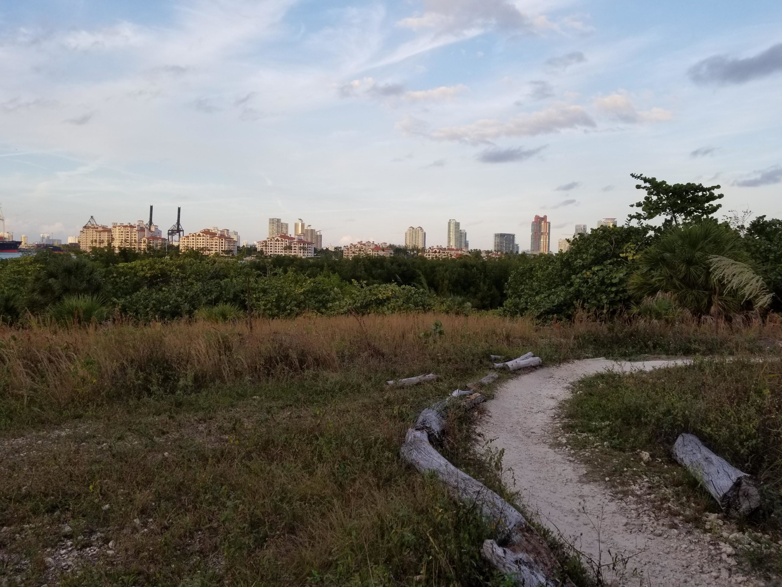 A winding dirt path surrounded by tall grasses and shrubs, leading towards a city skyline with various buildings, including residential and commercial structures. The scene features a mix of greenery in the foreground and urban development in the background against a partly cloudy sky. Virginia Key North Point mountain bike trail.